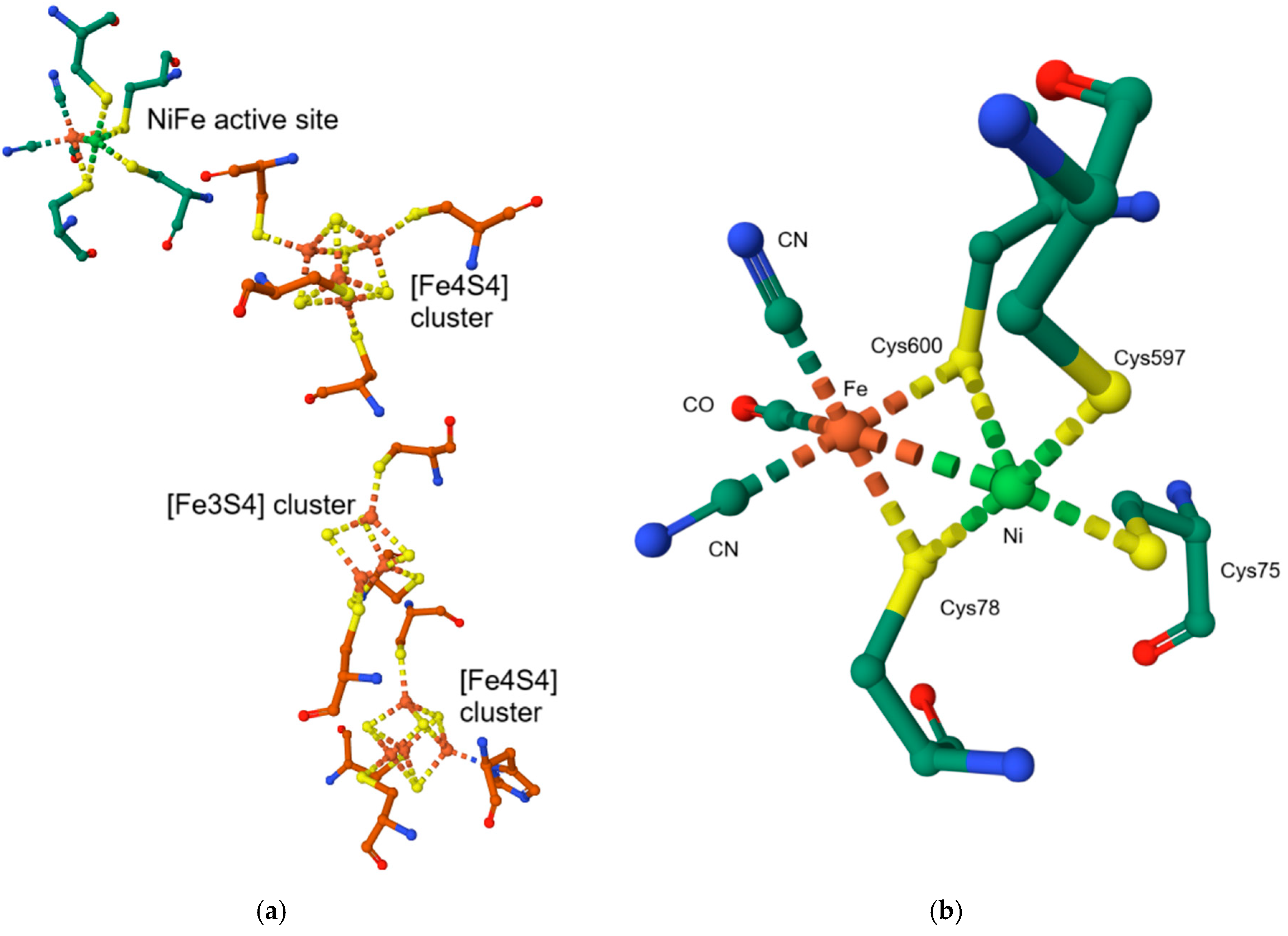 Inorganics 13 00137 g051