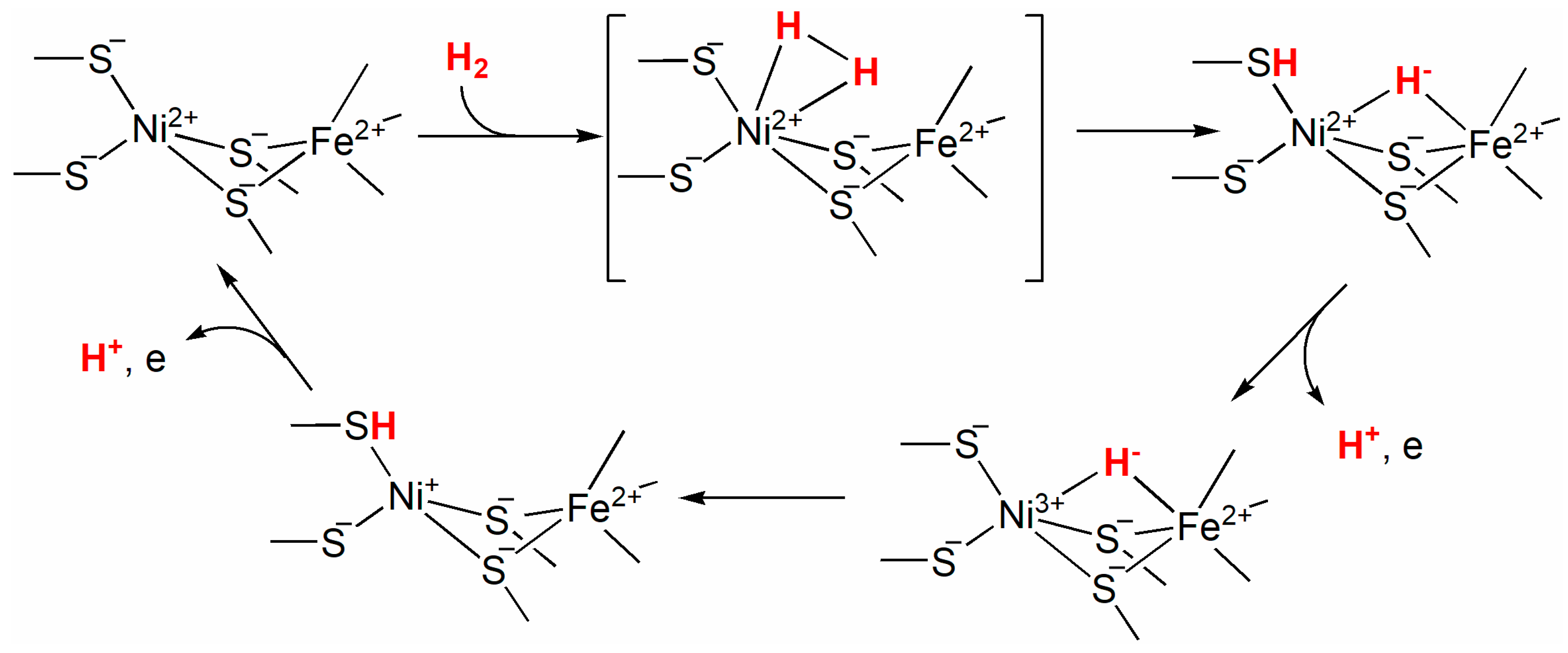 Inorganics 13 00137 g052
