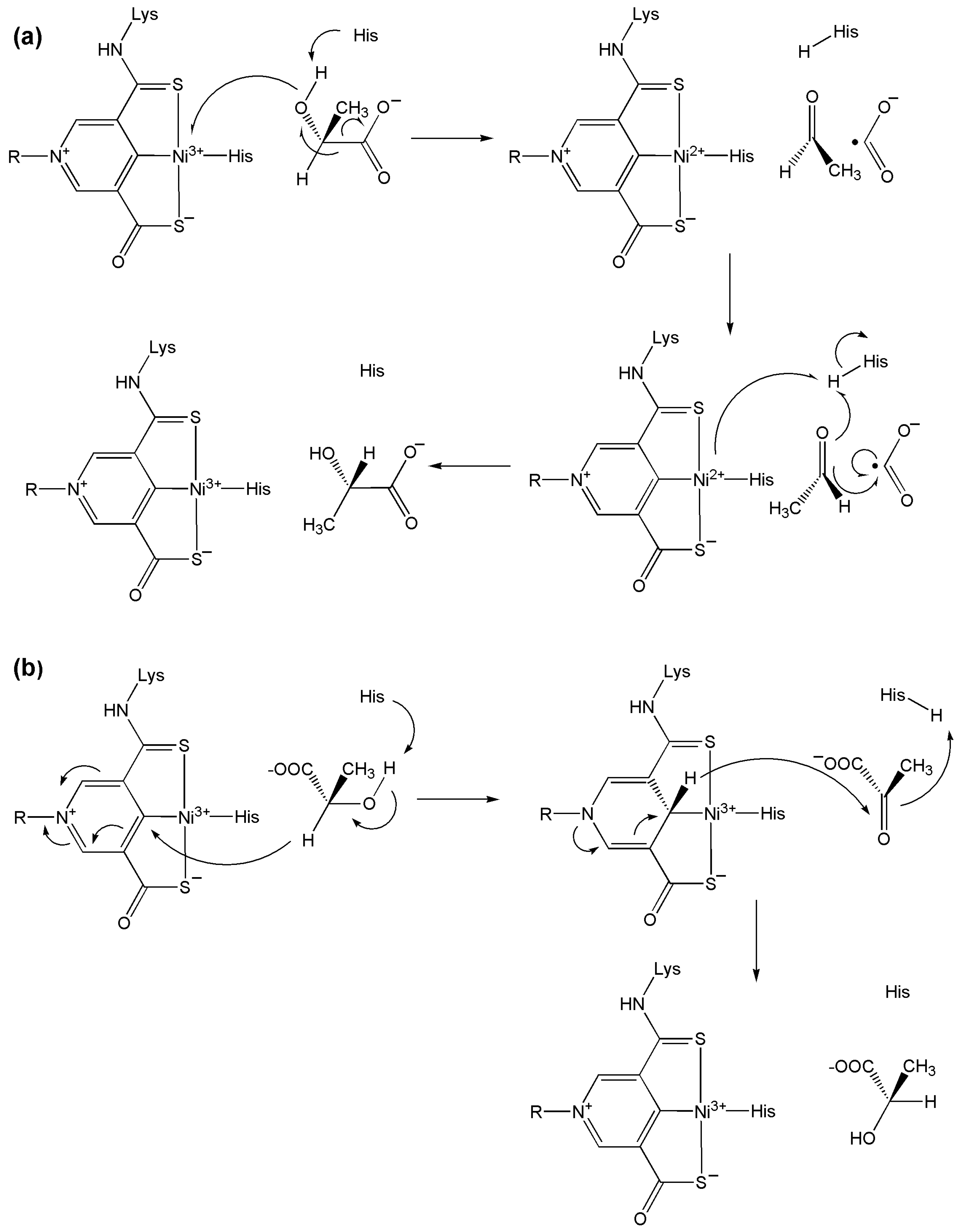 Inorganics 13 00137 g054