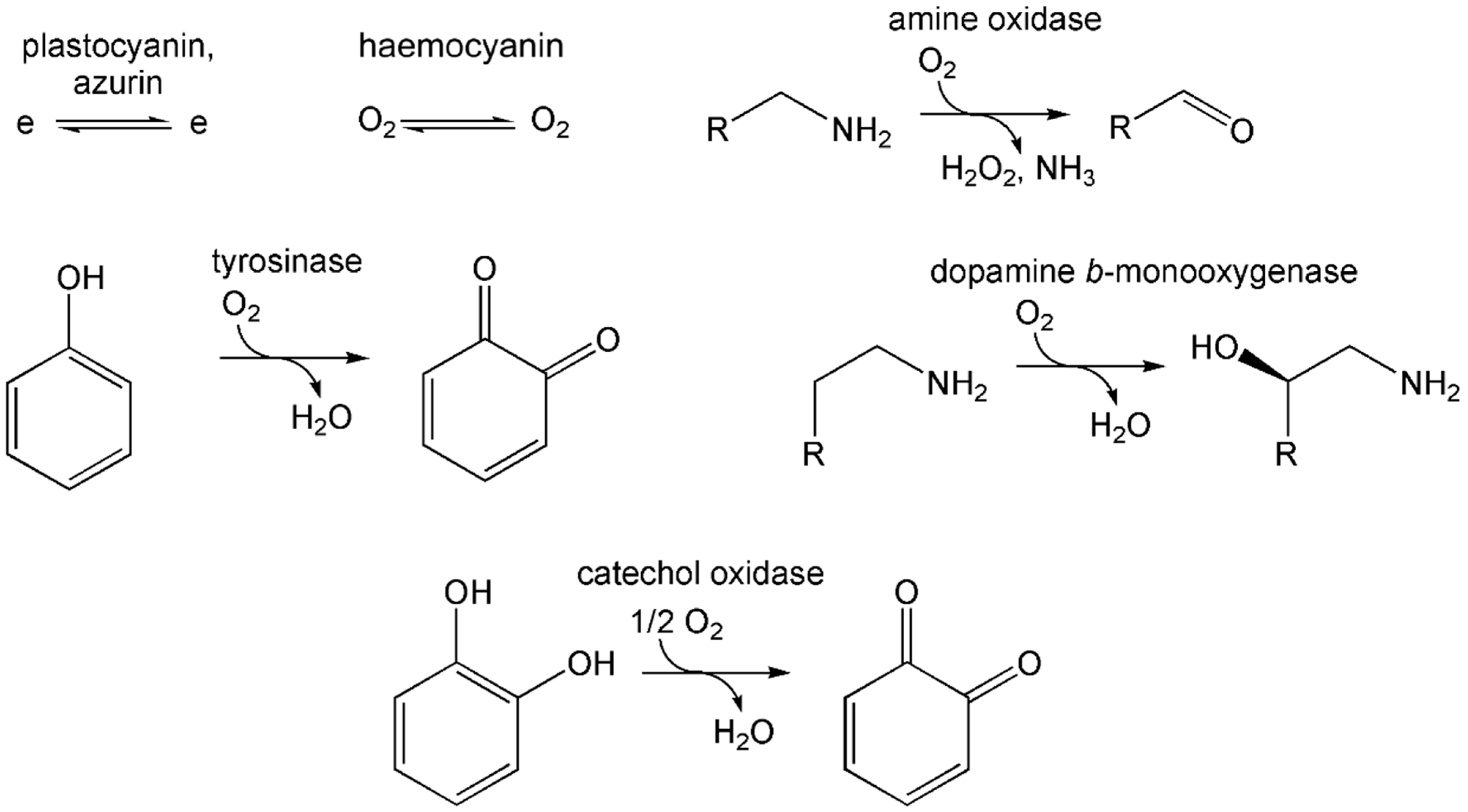 Inorganics 13 00137 g055