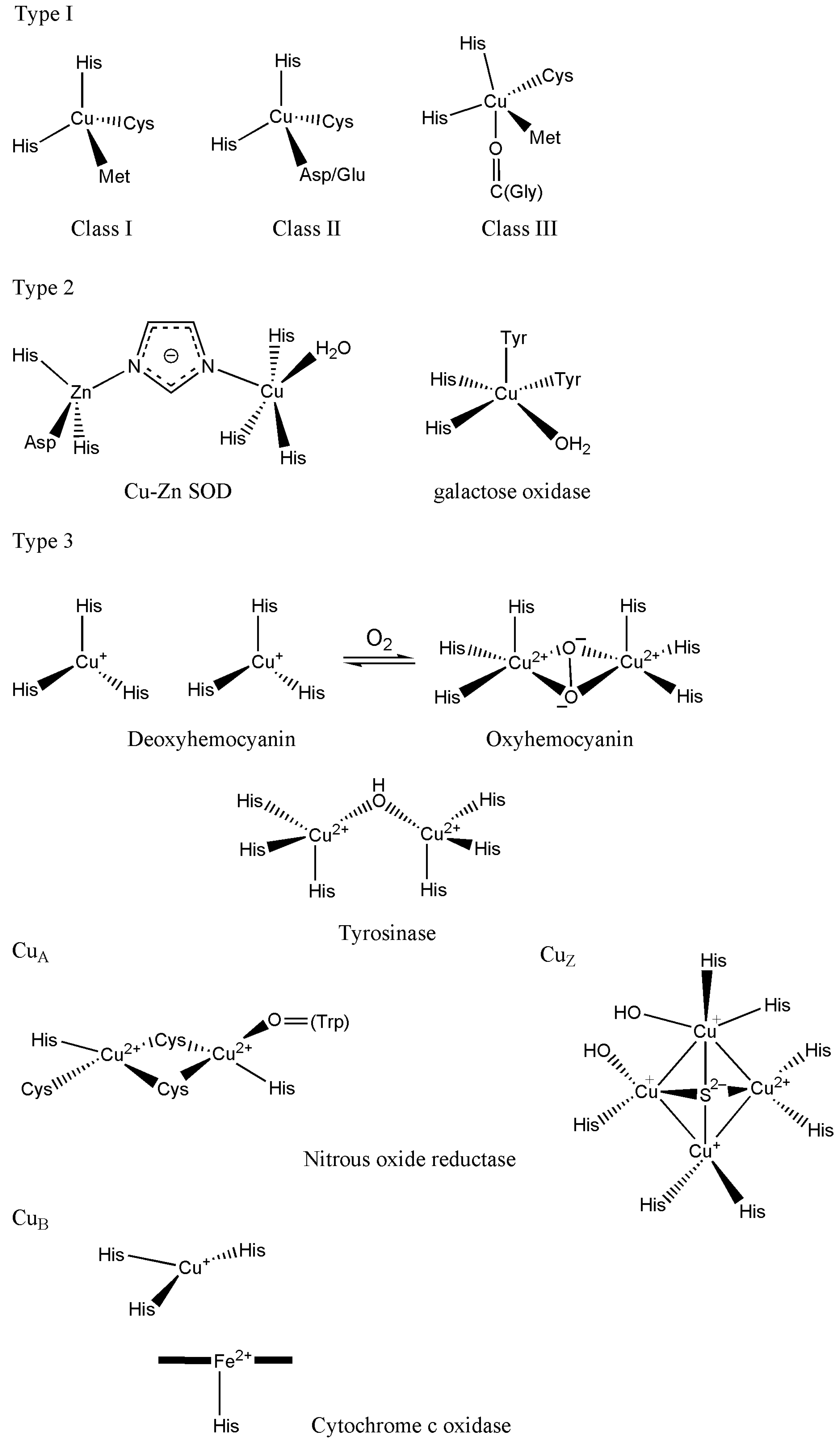 Inorganics 13 00137 g056