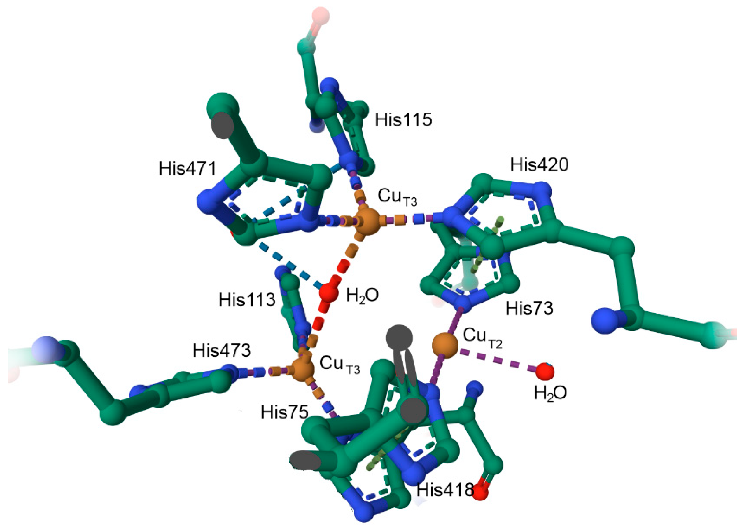 Inorganics 13 00137 g058