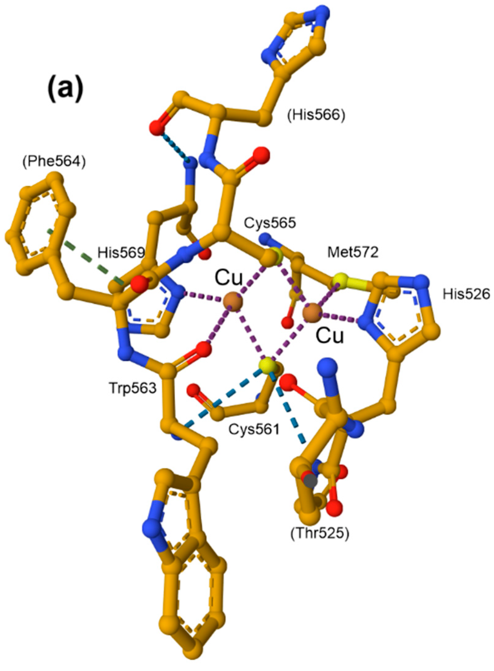 Inorganics 13 00137 g062a