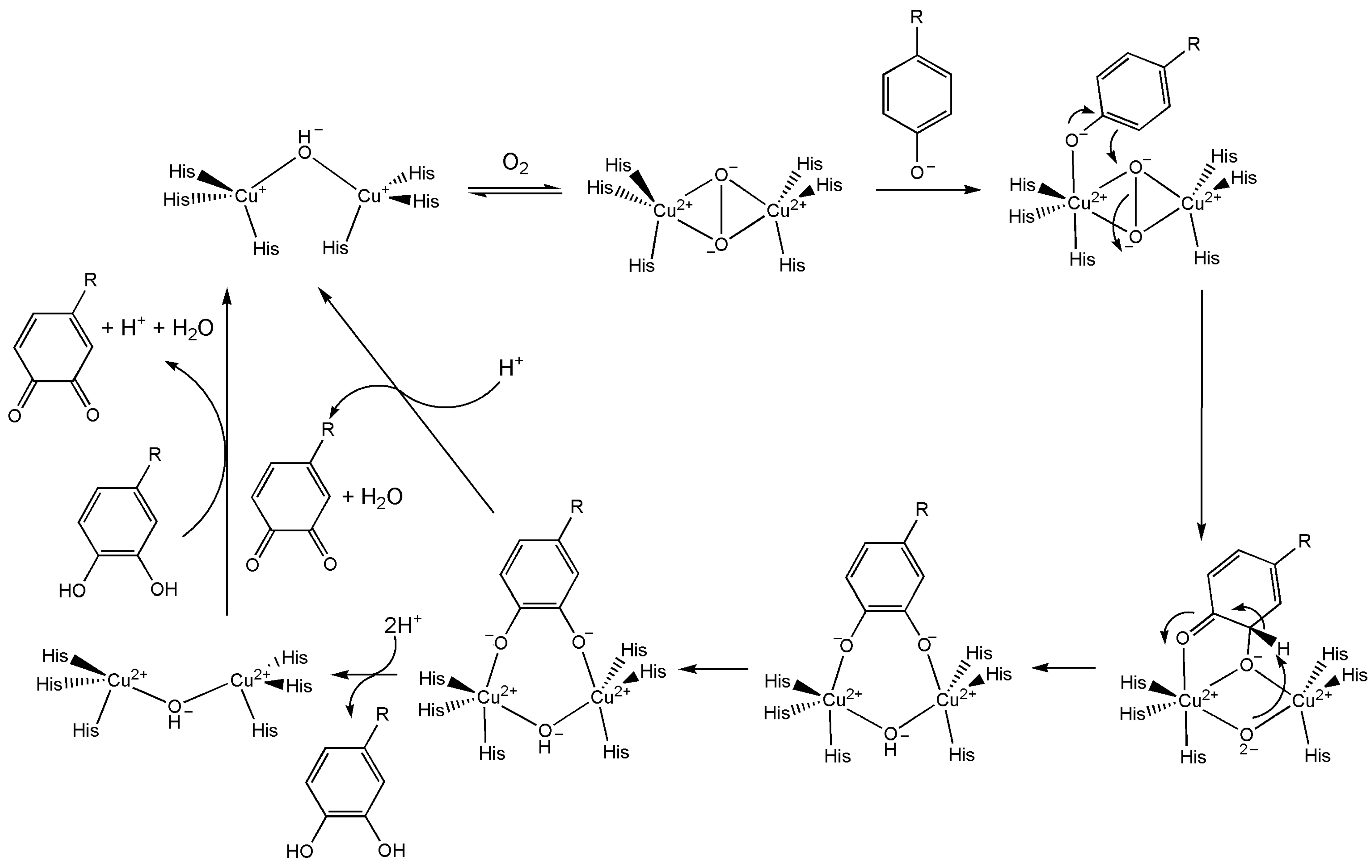 Inorganics 13 00137 g064