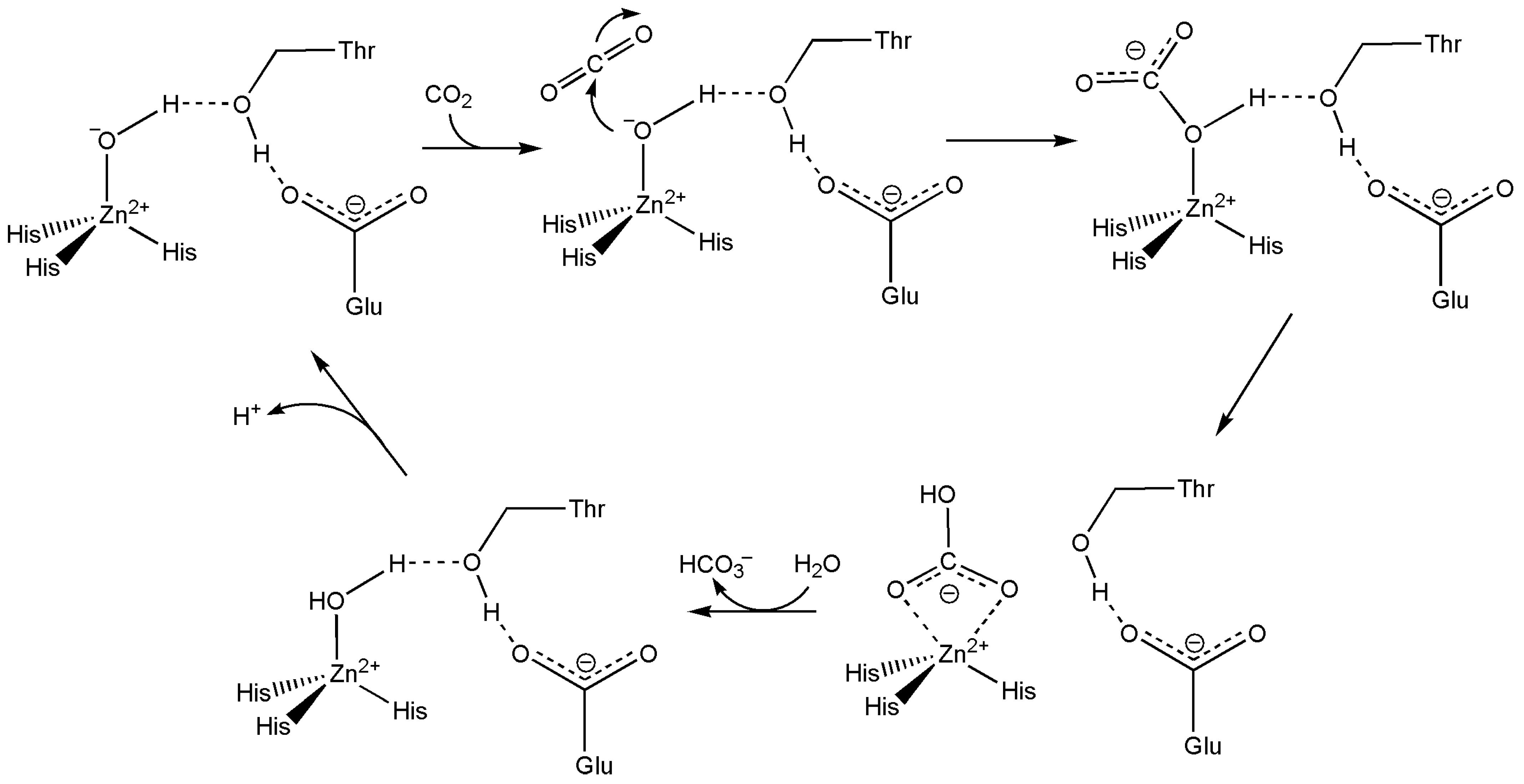 Inorganics 13 00137 g067