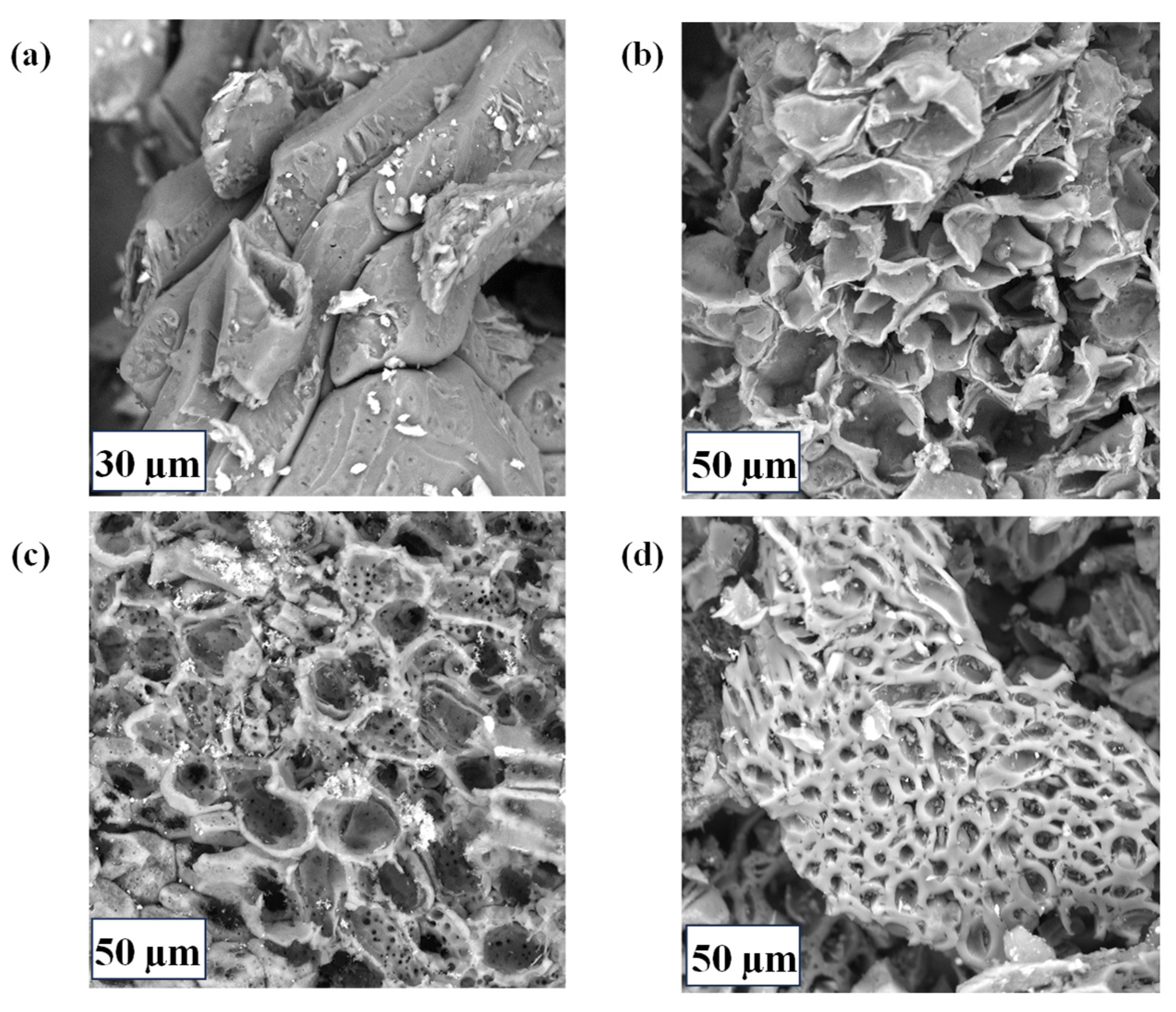 Inorganics 13 00224 g002