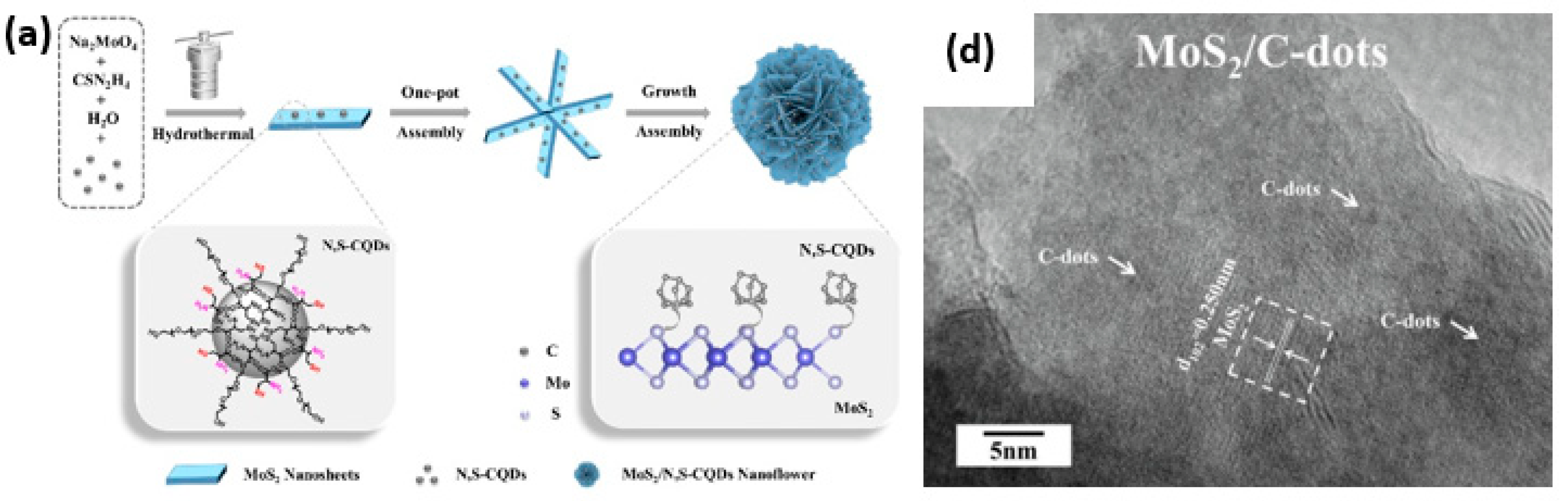 Inorganics 13 00286 g011a Inorganics 13 00286 g011a