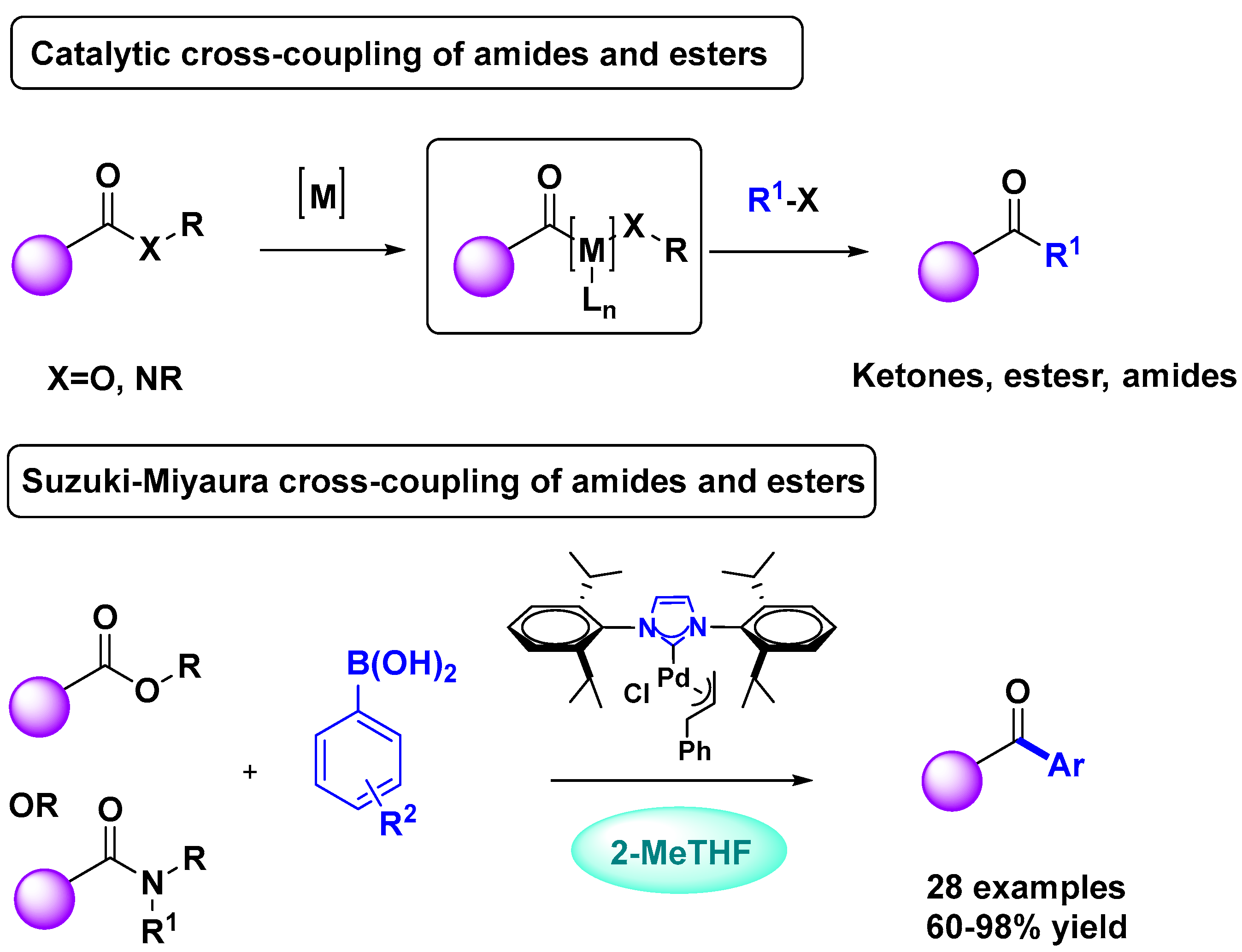 Inorganics 13 00330 sch005 Inorganics 13 00330 sch005