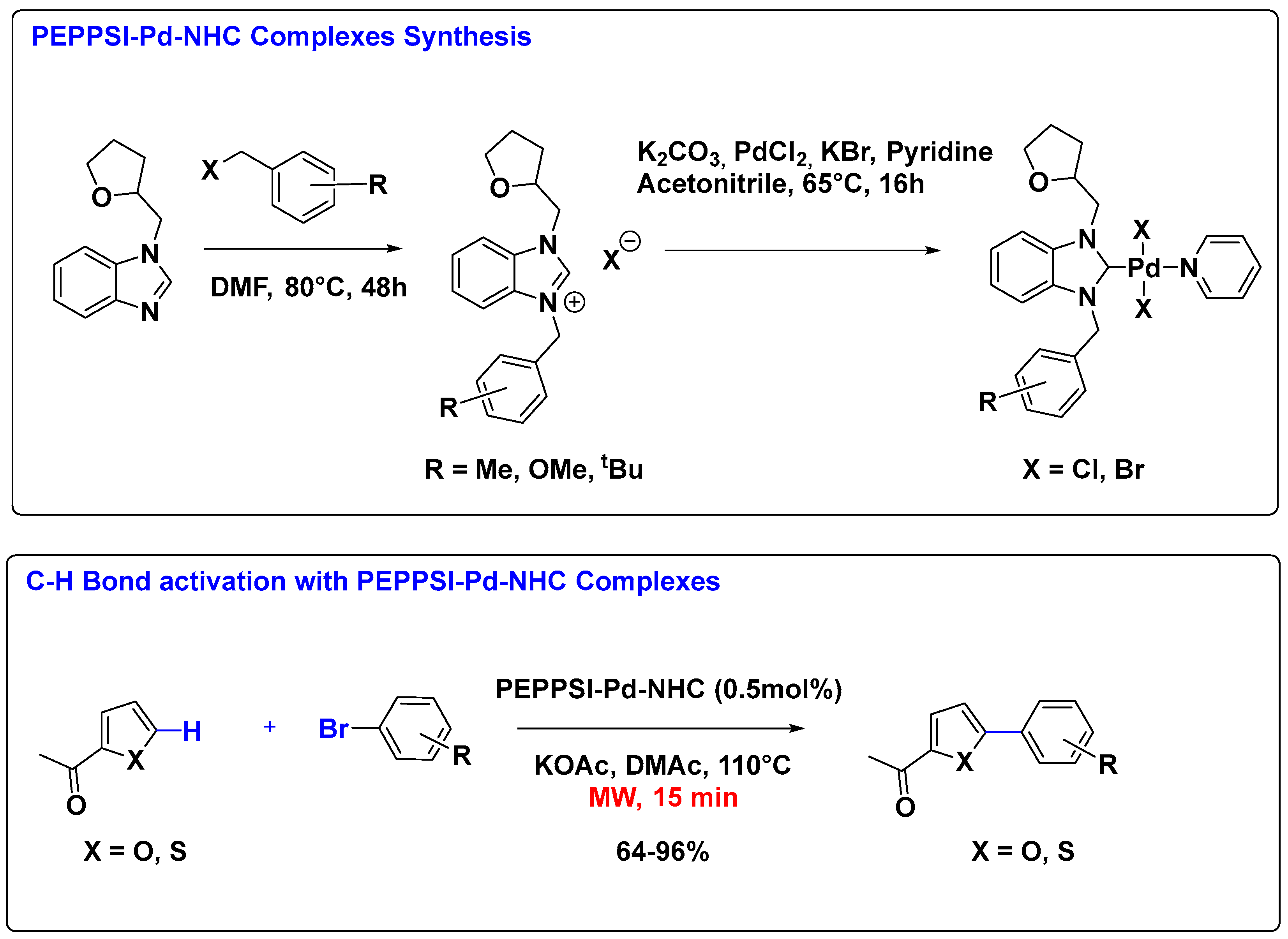 Inorganics 13 00330 sch007 Inorganics 13 00330 sch007
