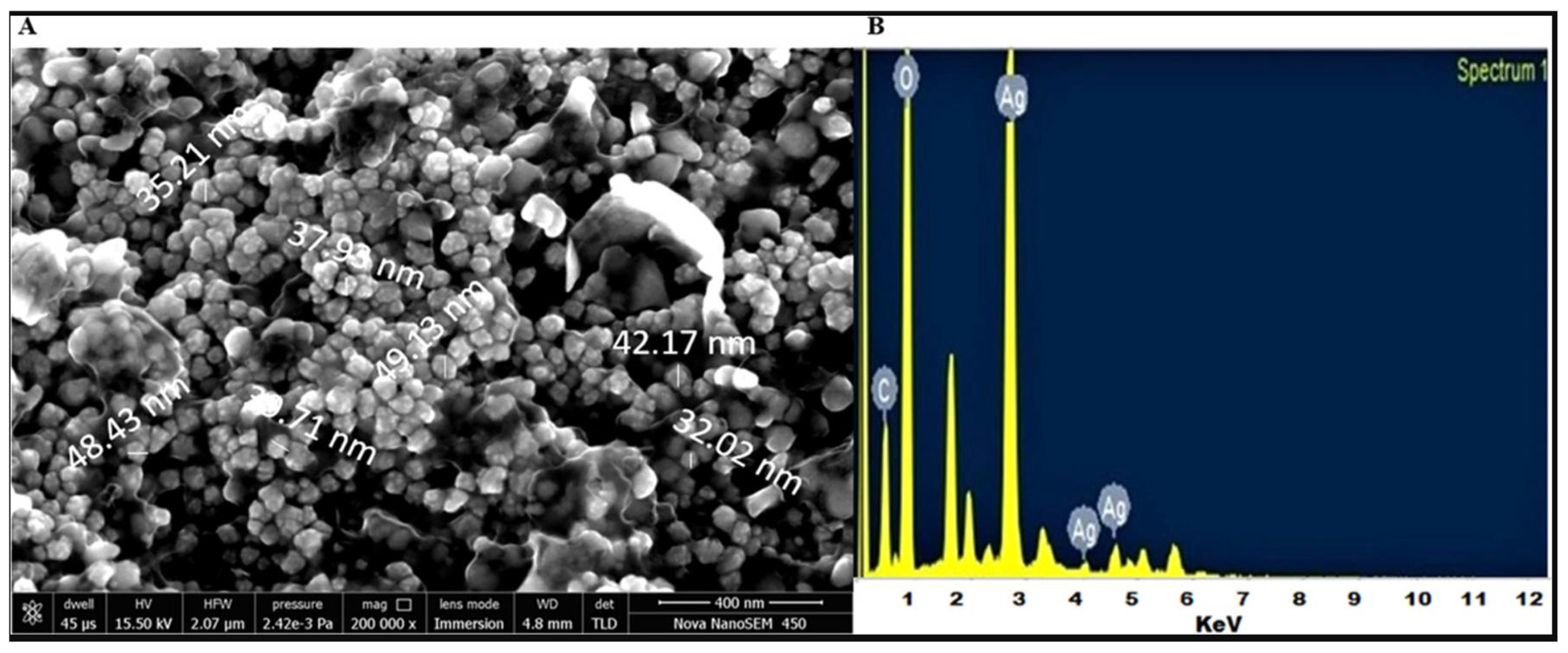 Inorganics 13 00341 g007 Inorganics 13 00341 g007