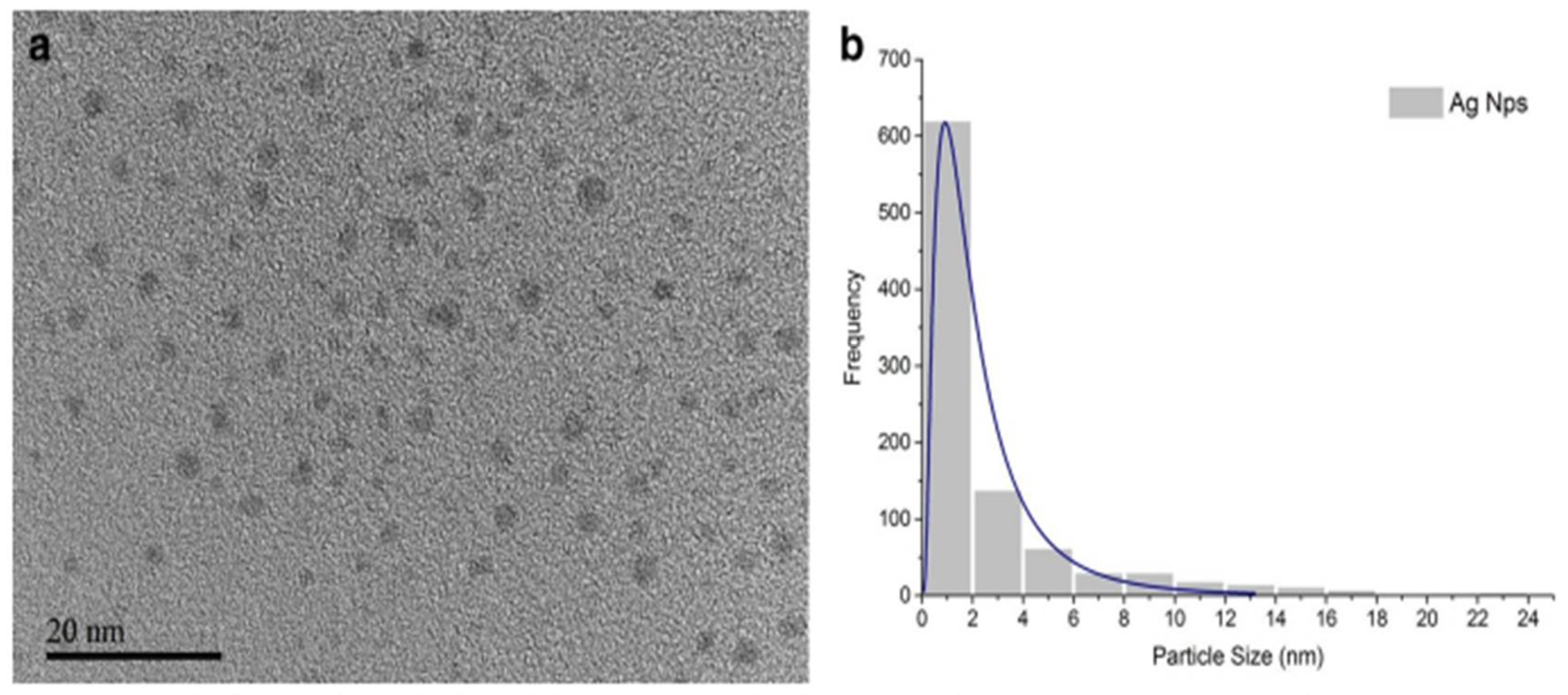 Inorganics 13 00341 g008 Inorganics 13 00341 g008
