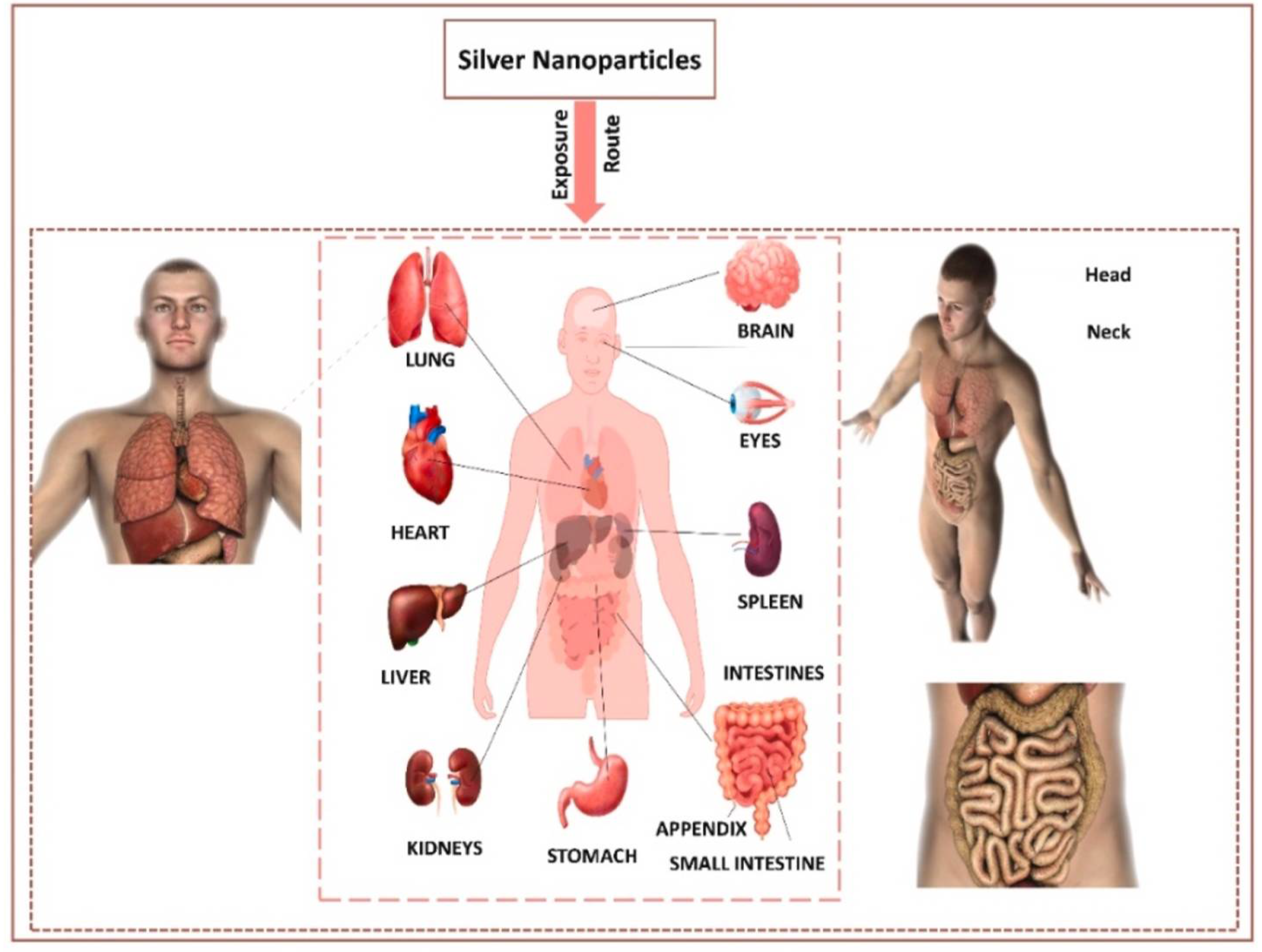 Inorganics 13 00341 g017 Inorganics 13 00341 g017