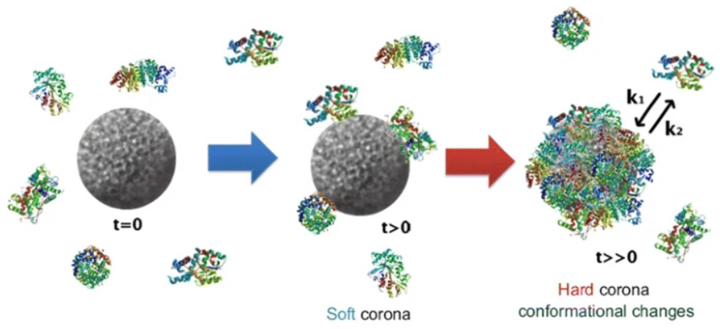 Inorganics 13 00341 g018 Inorganics 13 00341 g018