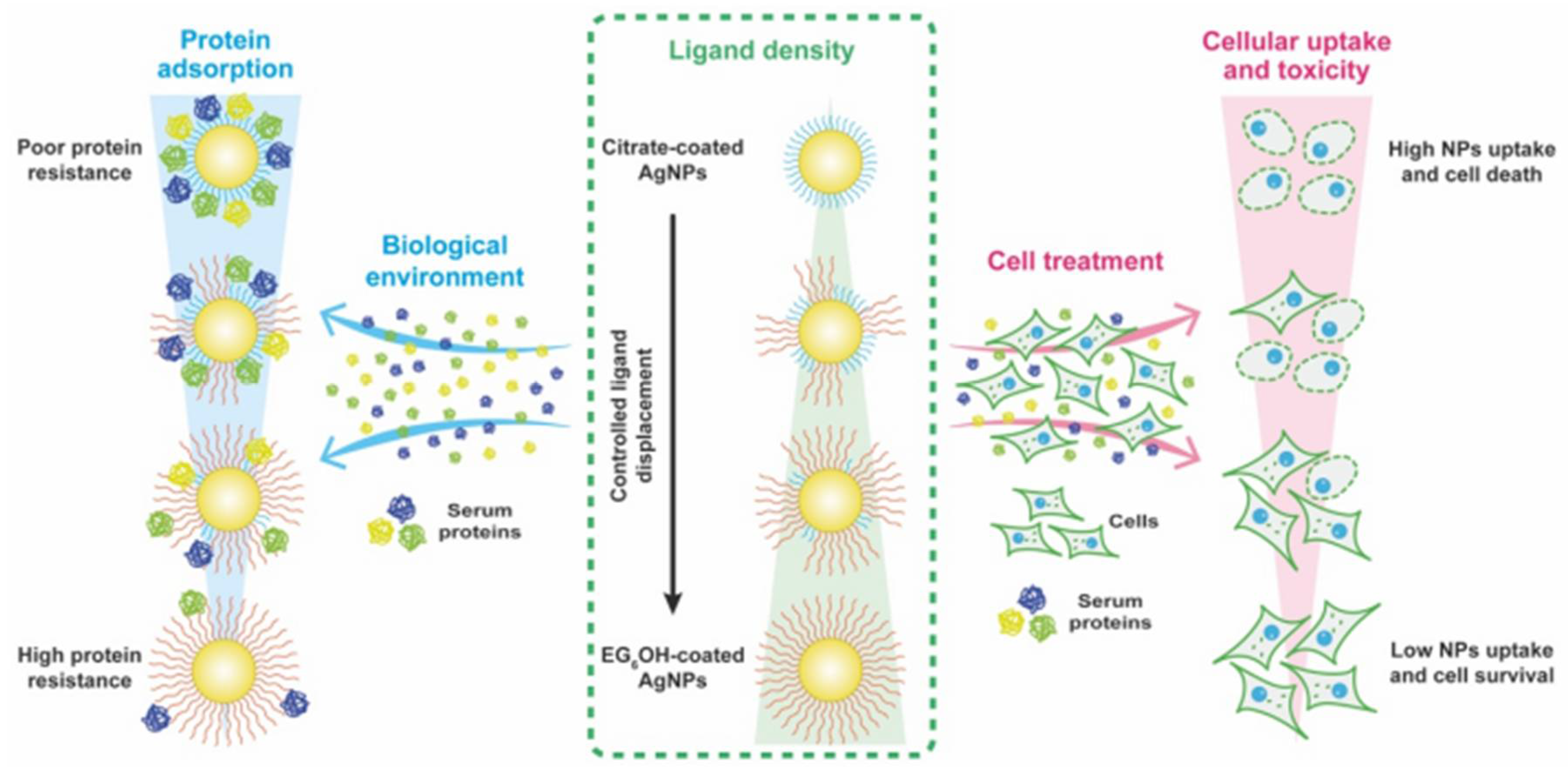 Inorganics 13 00341 g019 Inorganics 13 00341 g019