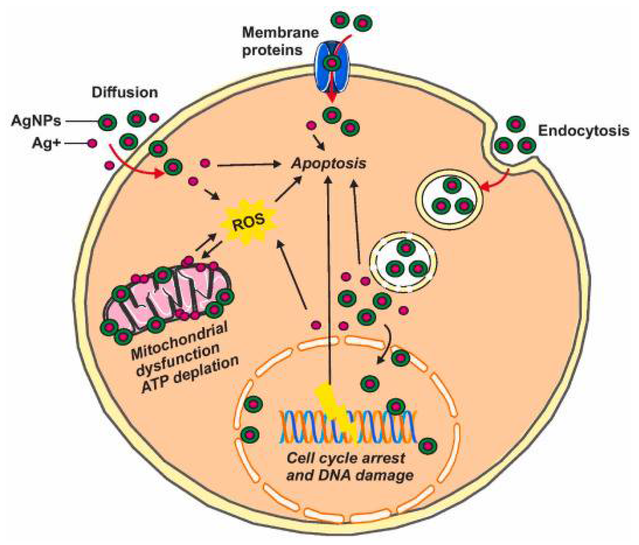 Inorganics 13 00341 g020 Inorganics 13 00341 g020