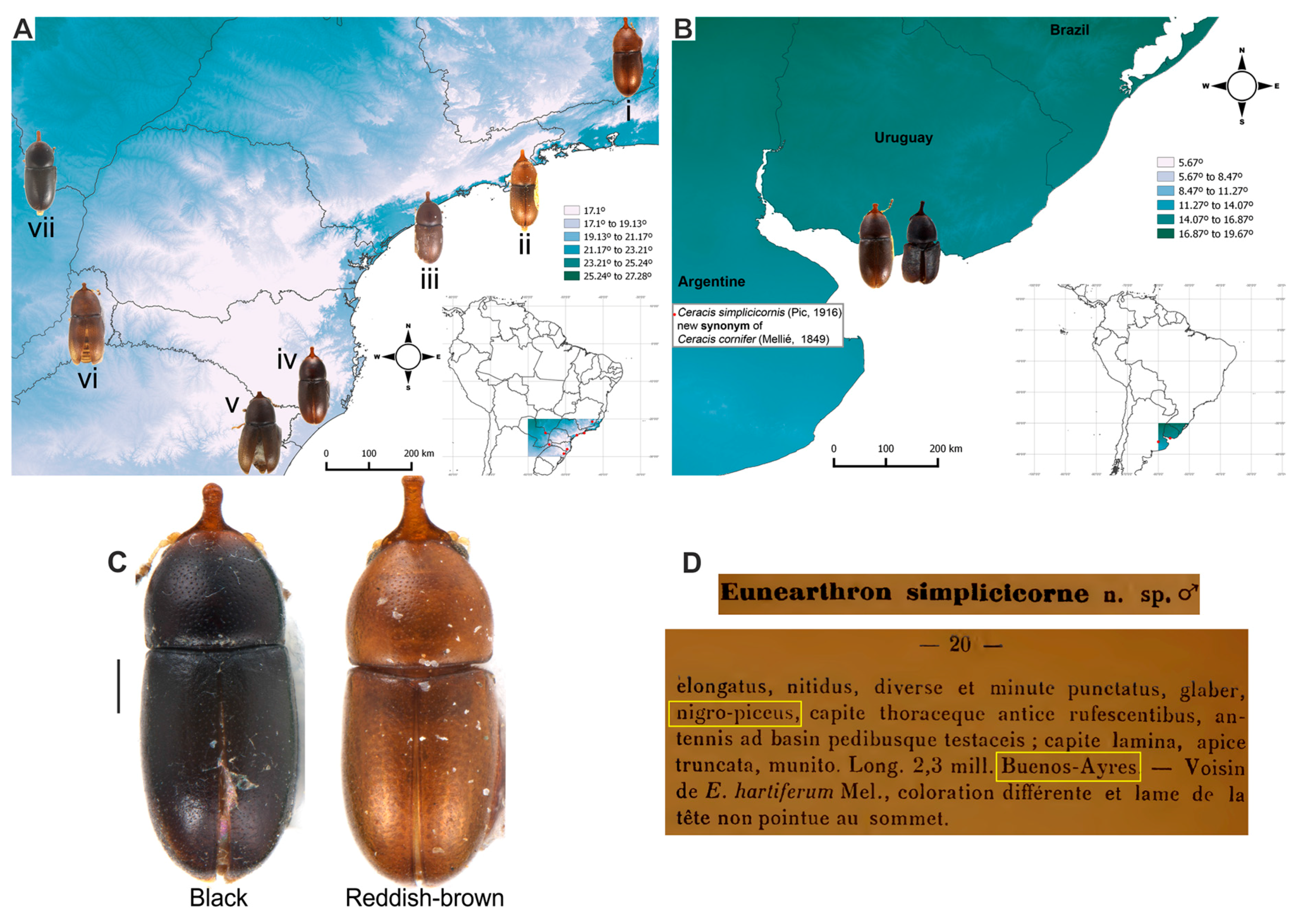 PDF) Padrões e processos biogeográficos na Amazônia