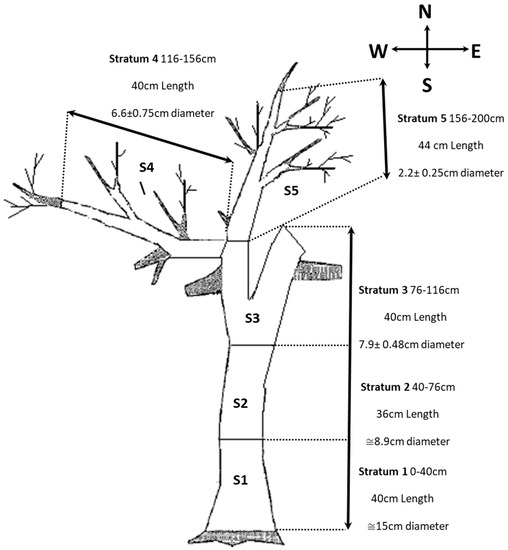 Insects | Special Issue : Insect Monitoring and Trapping in ...