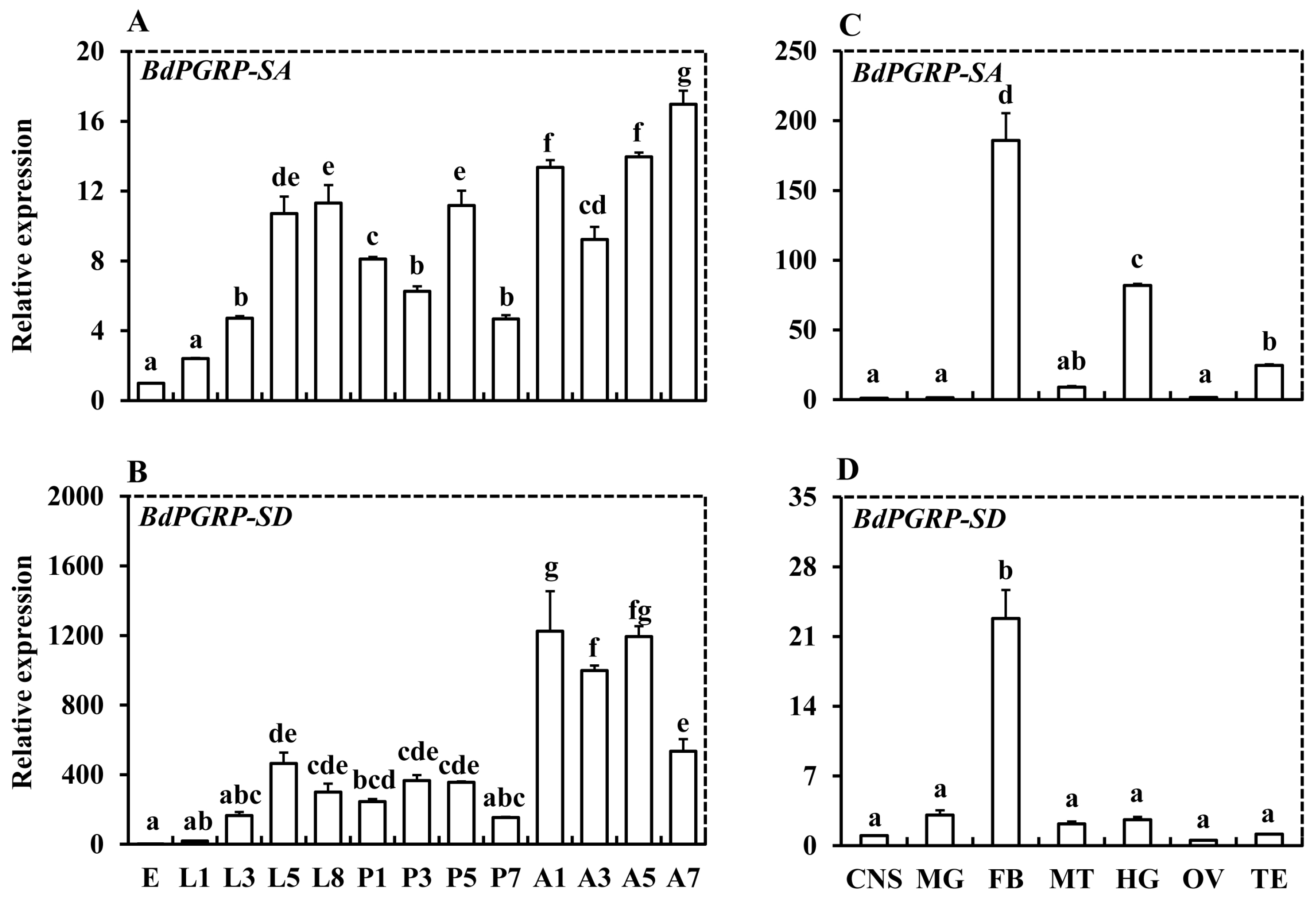 Insects 10 00079 g003