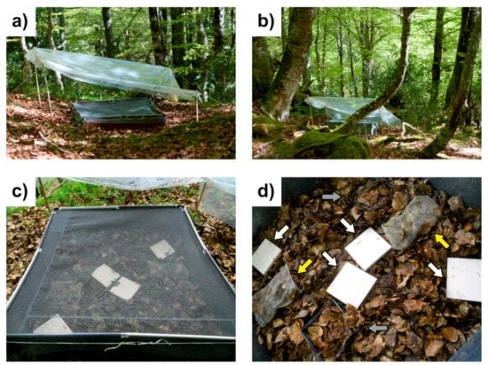 Setting Live Traps for Mammalian Garden Pests – Mother Earth News