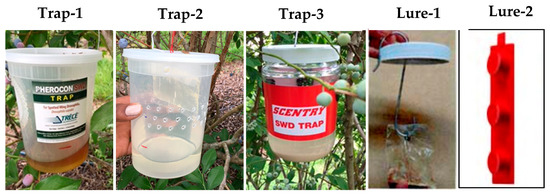 Insects Free Full Text Evaluation Of Monitoring Traps And Lures For Drosophila Suzukii