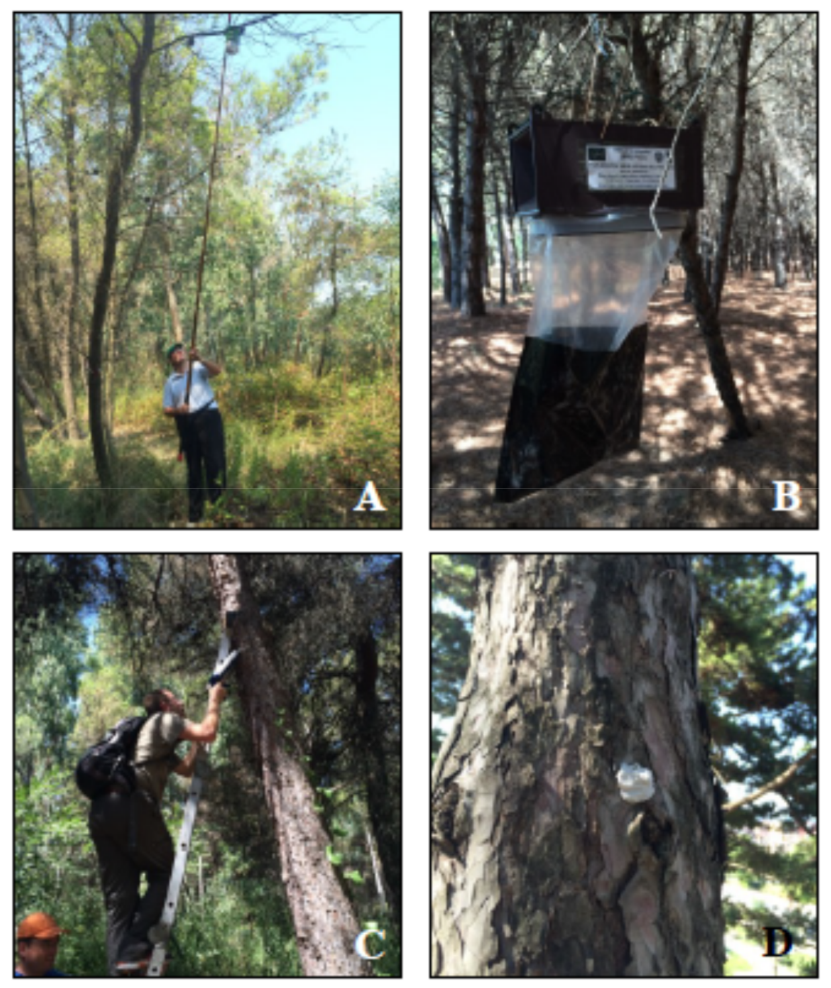 Insects 10 00395 g005 Insects 10 00395 g005