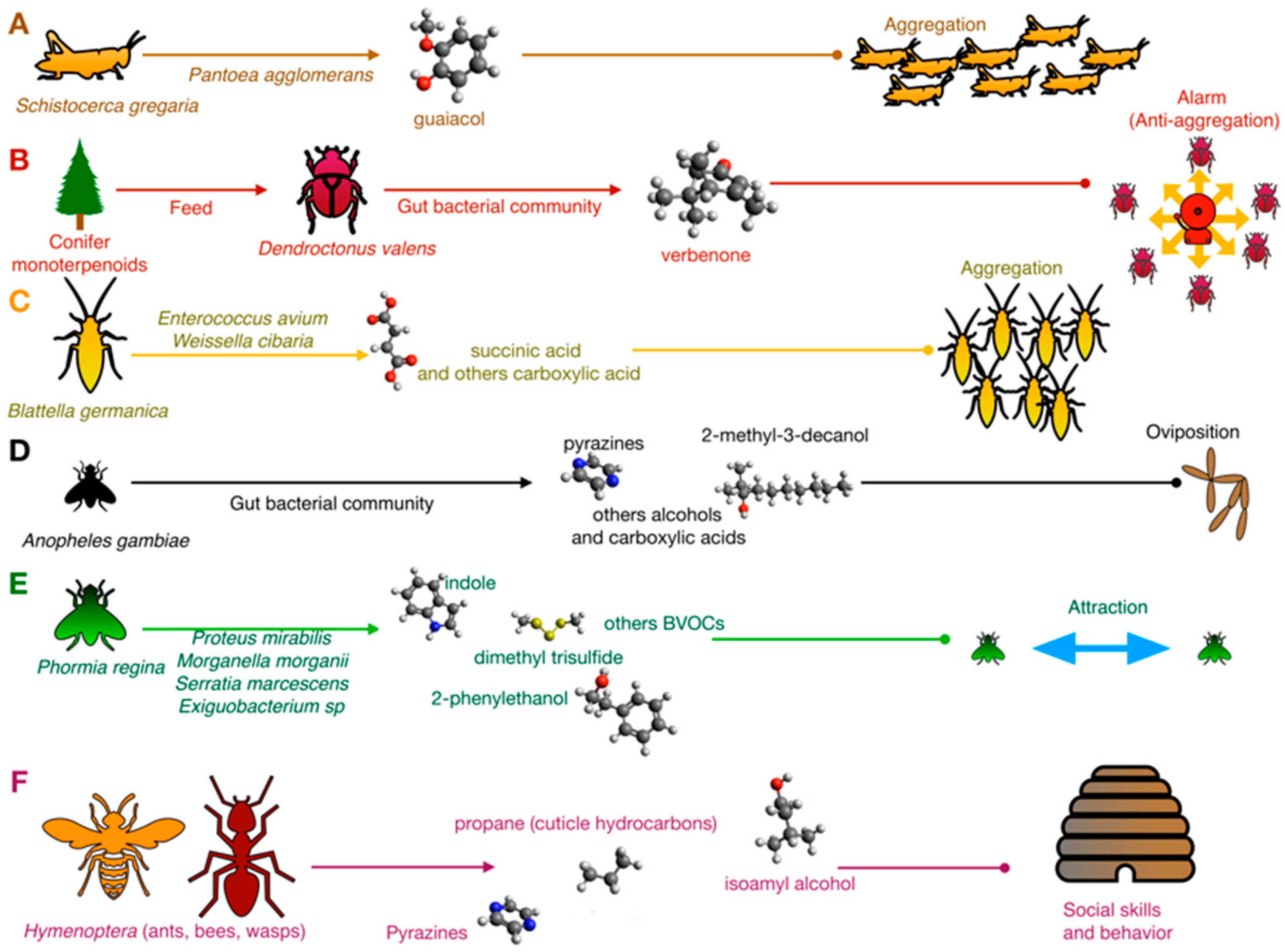 Insects | Free Full-Text | Bacterial Semiochemicals and Transkingdom  Interactions with Insects and Plants | HTML