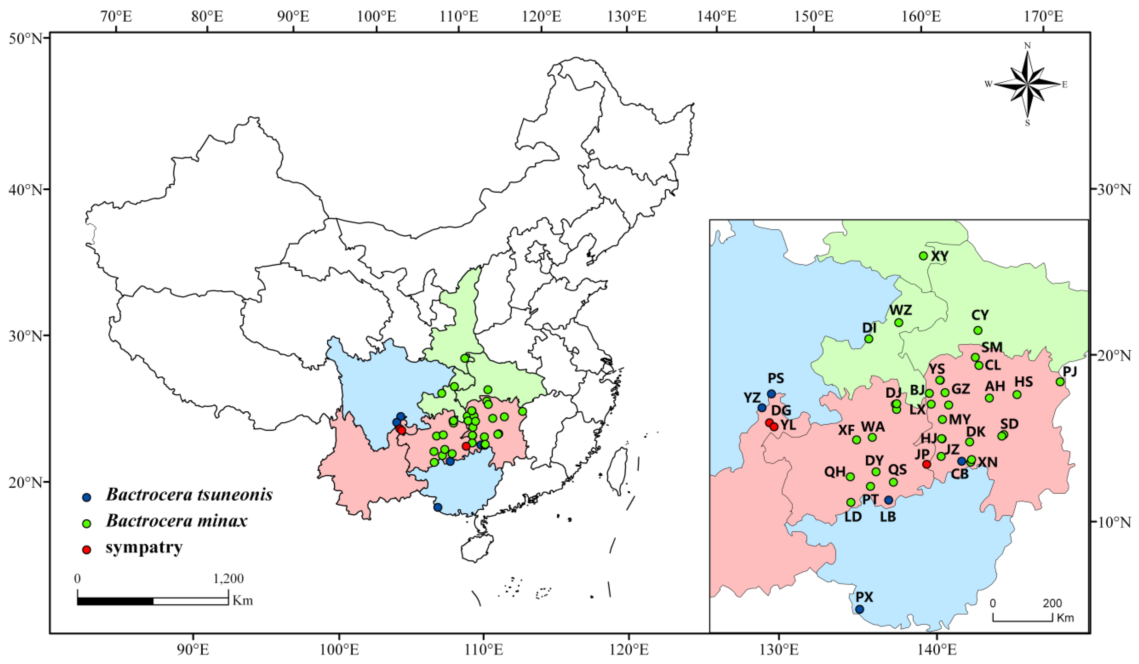 Insects 10 00447 g001