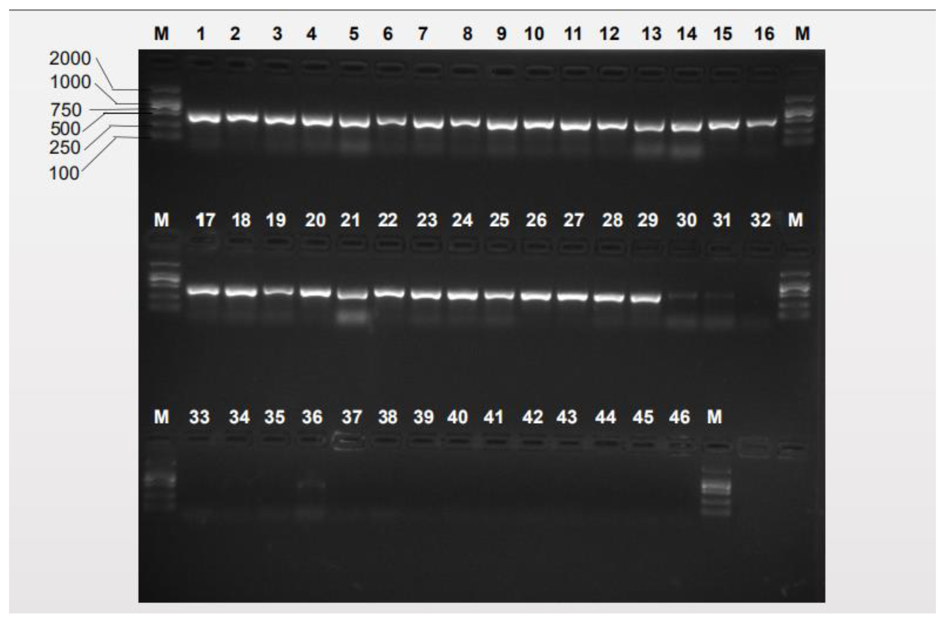 Insects 10 00447 g002