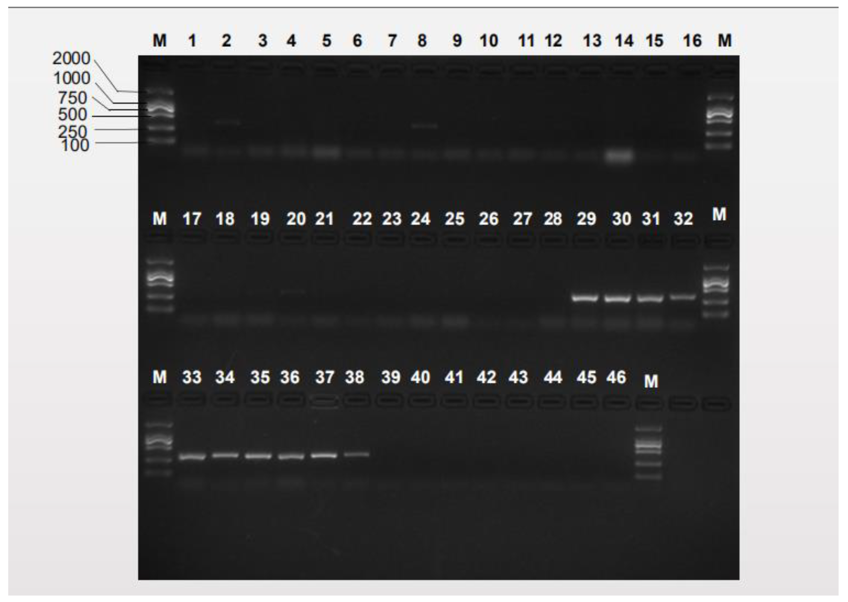 Insects 10 00447 g003