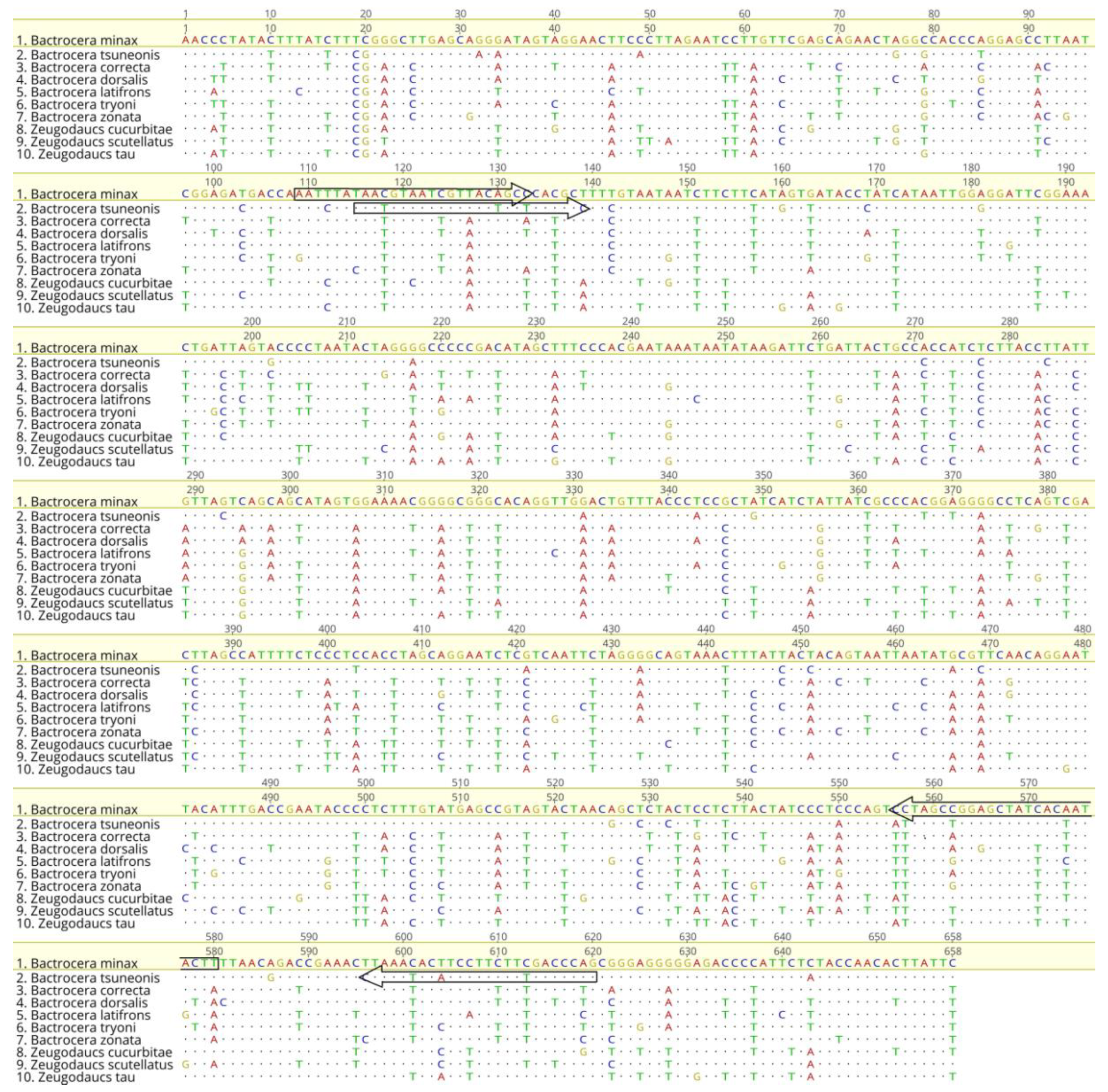 Insects 10 00447 g004