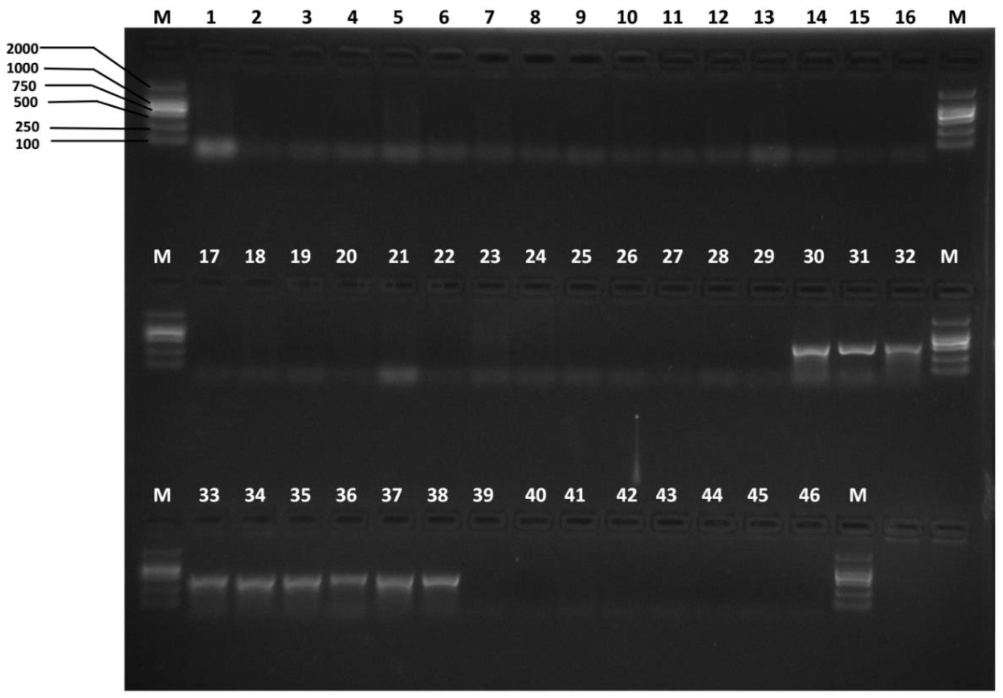 Insects 10 00447 g006