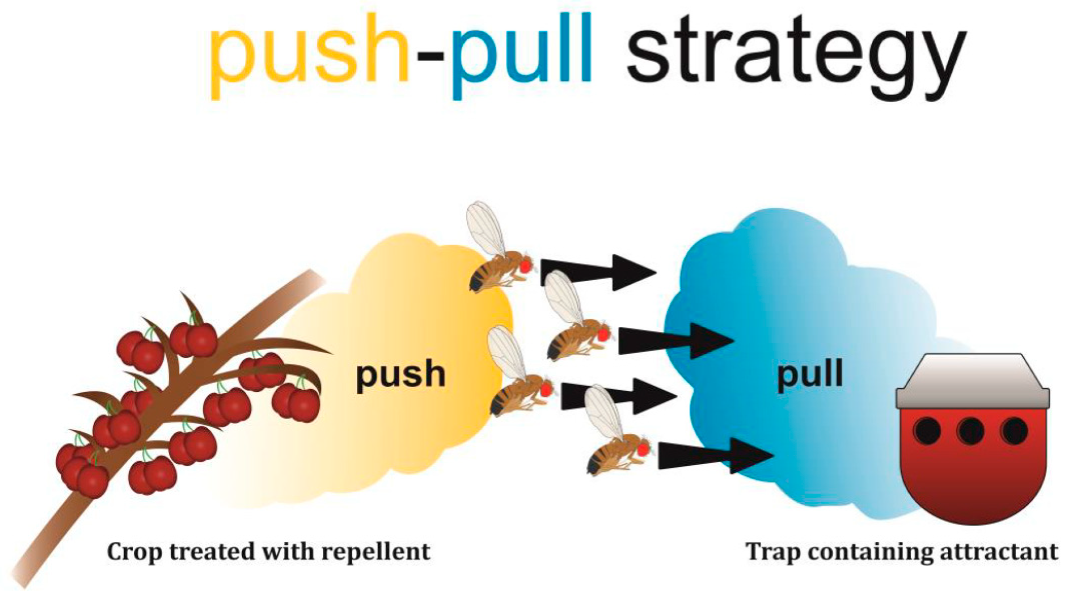 Insects | Free Full-Text | Context-Dependence and the Development of Push- Pull Approaches for Integrated Management of Drosophila suzukii