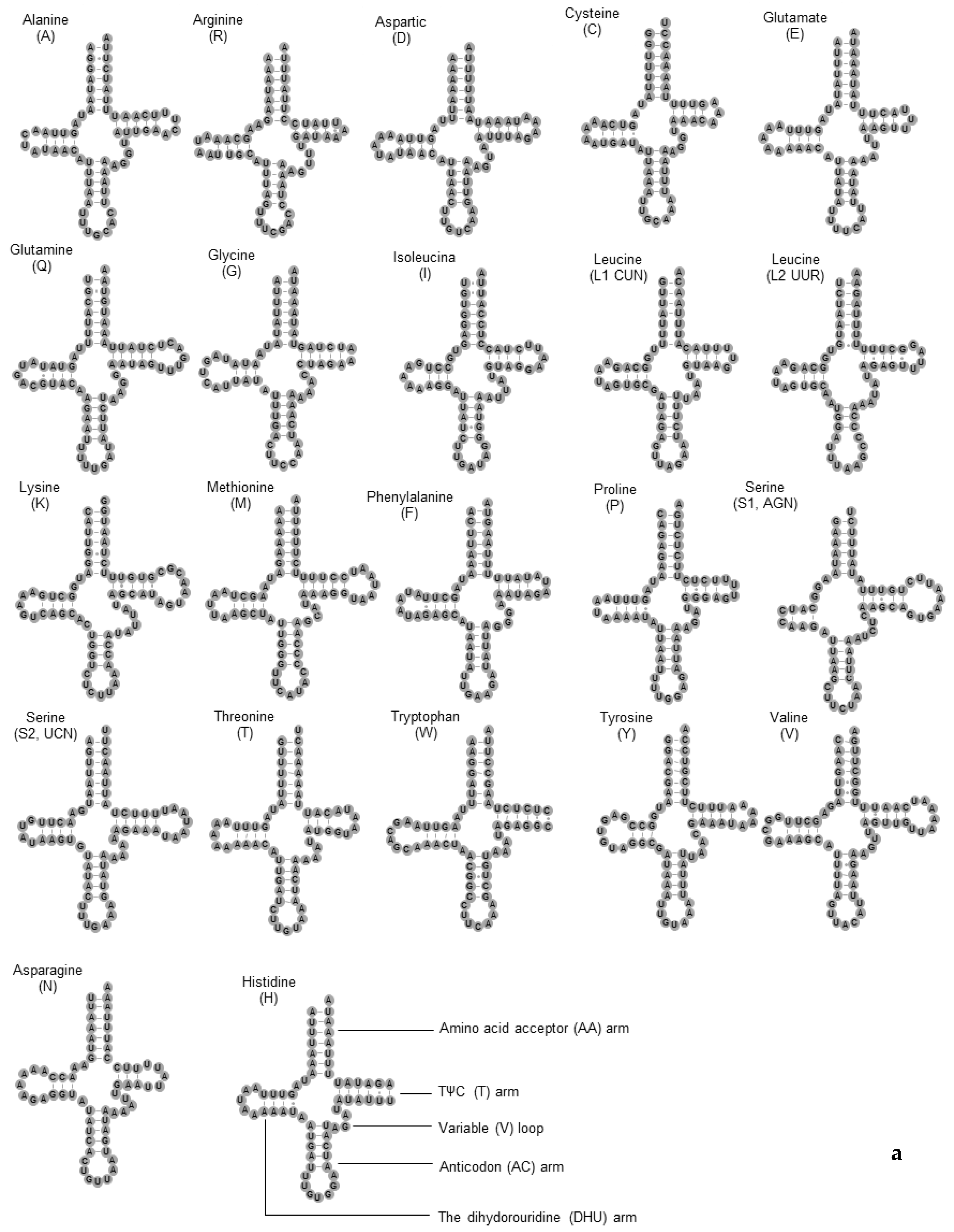 Insects 11 00024 g003a Insects 11 00024 g003a