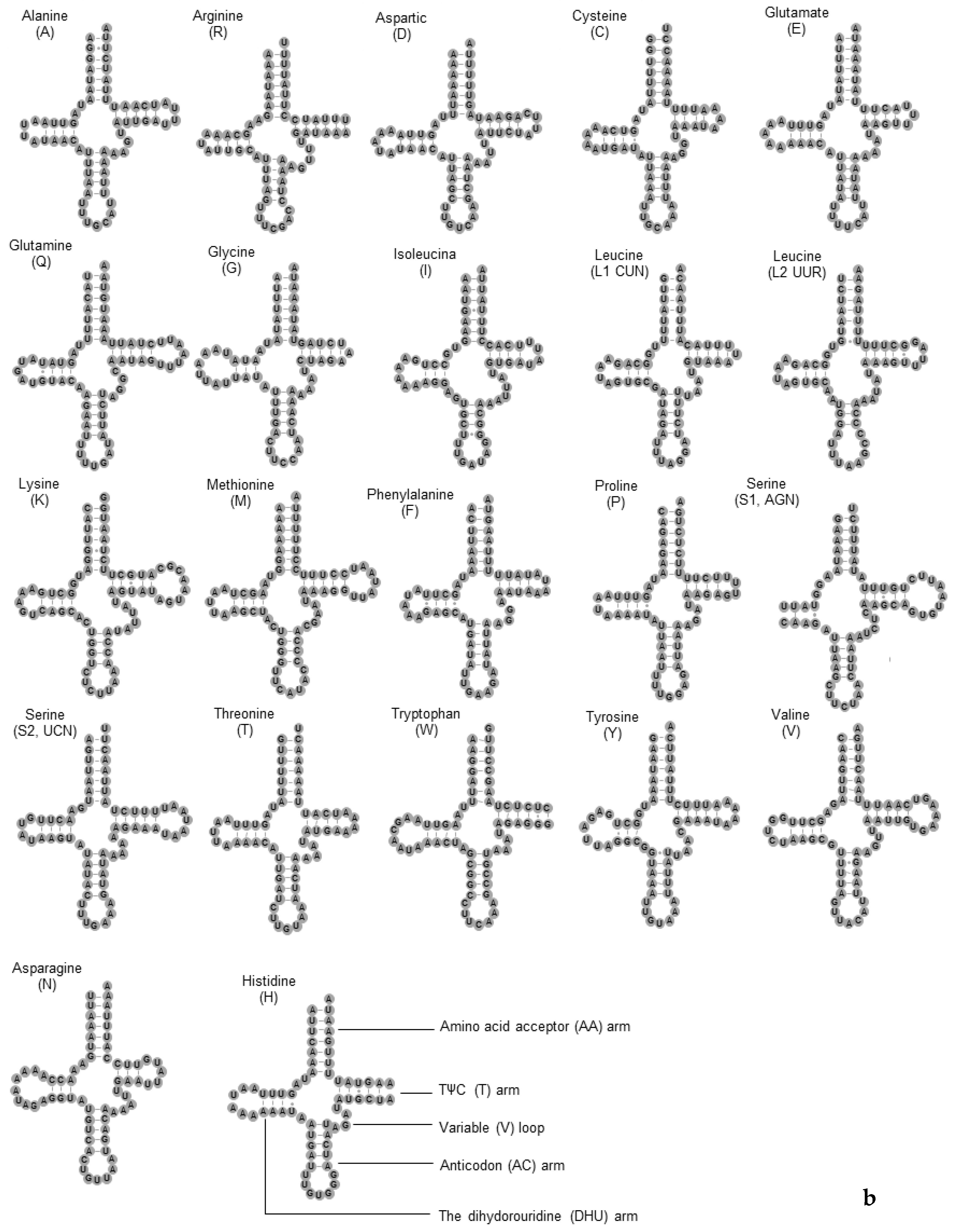 Insects 11 00024 g003b Insects 11 00024 g003b