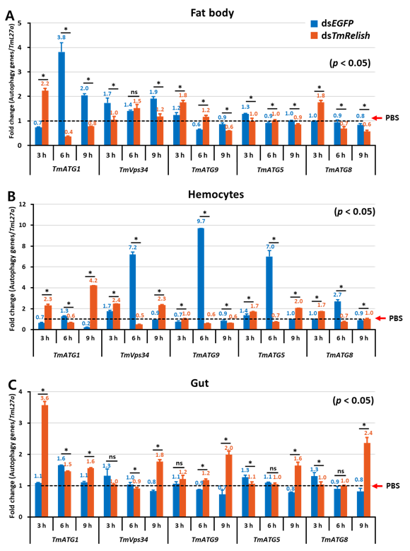Insects 11 00188 g004