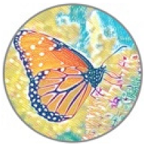 Insects 11 00315 i004