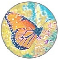 Insects 11 00315 i009