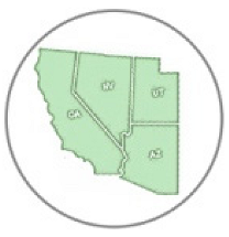 Insects 11 00315 i010