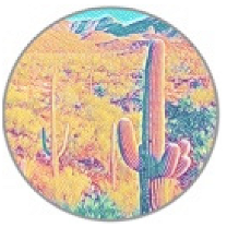 Insects 11 00315 i012