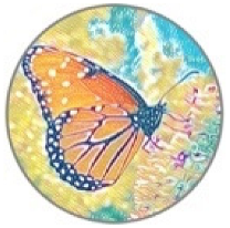 Insects 11 00315 i014