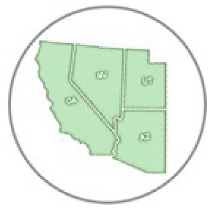 Insects 11 00315 i015