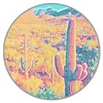 Insects 11 00315 i017