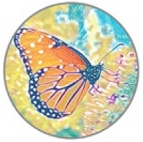 Insects 11 00315 i019