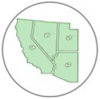 Insects 11 00315 i020