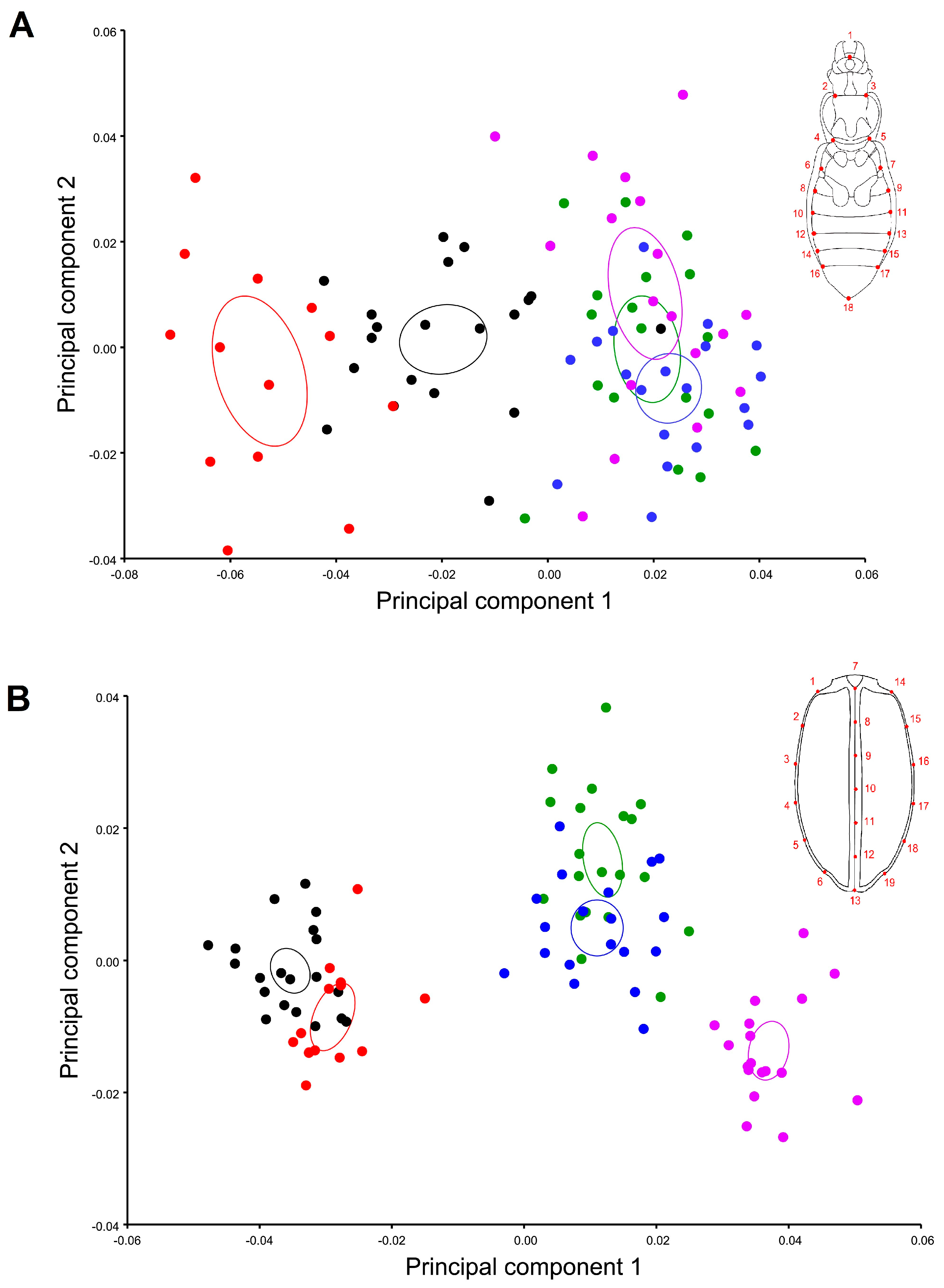 Insects 11 00361 g002
