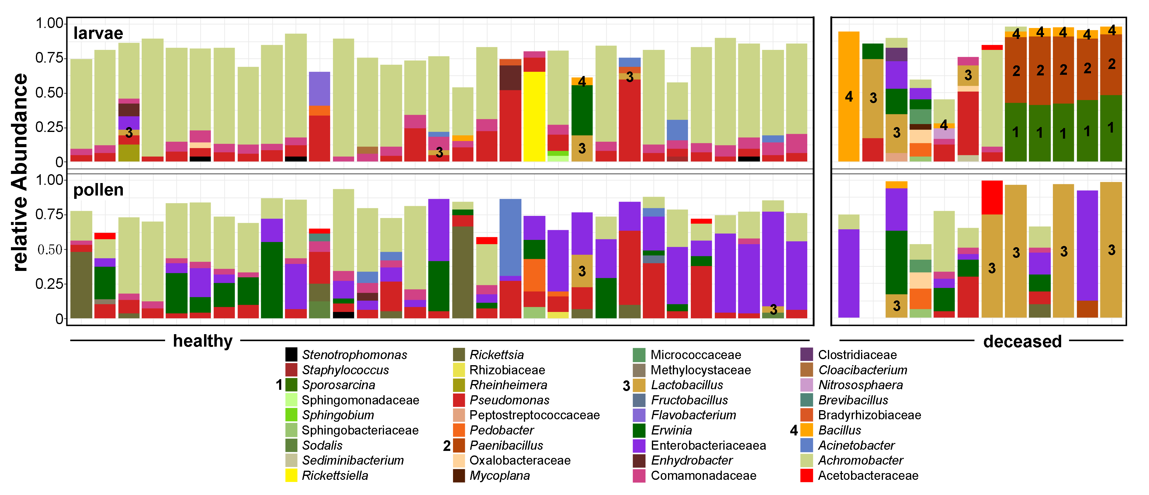 Insects 11 00373 g003
