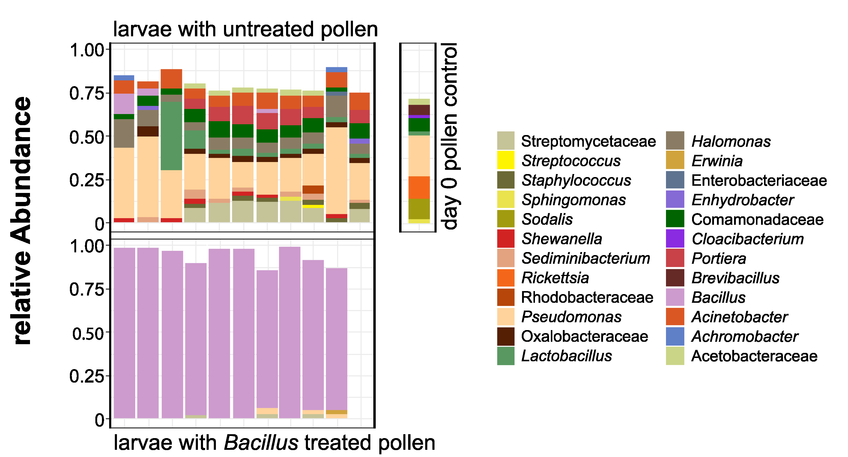 Insects 11 00373 g006