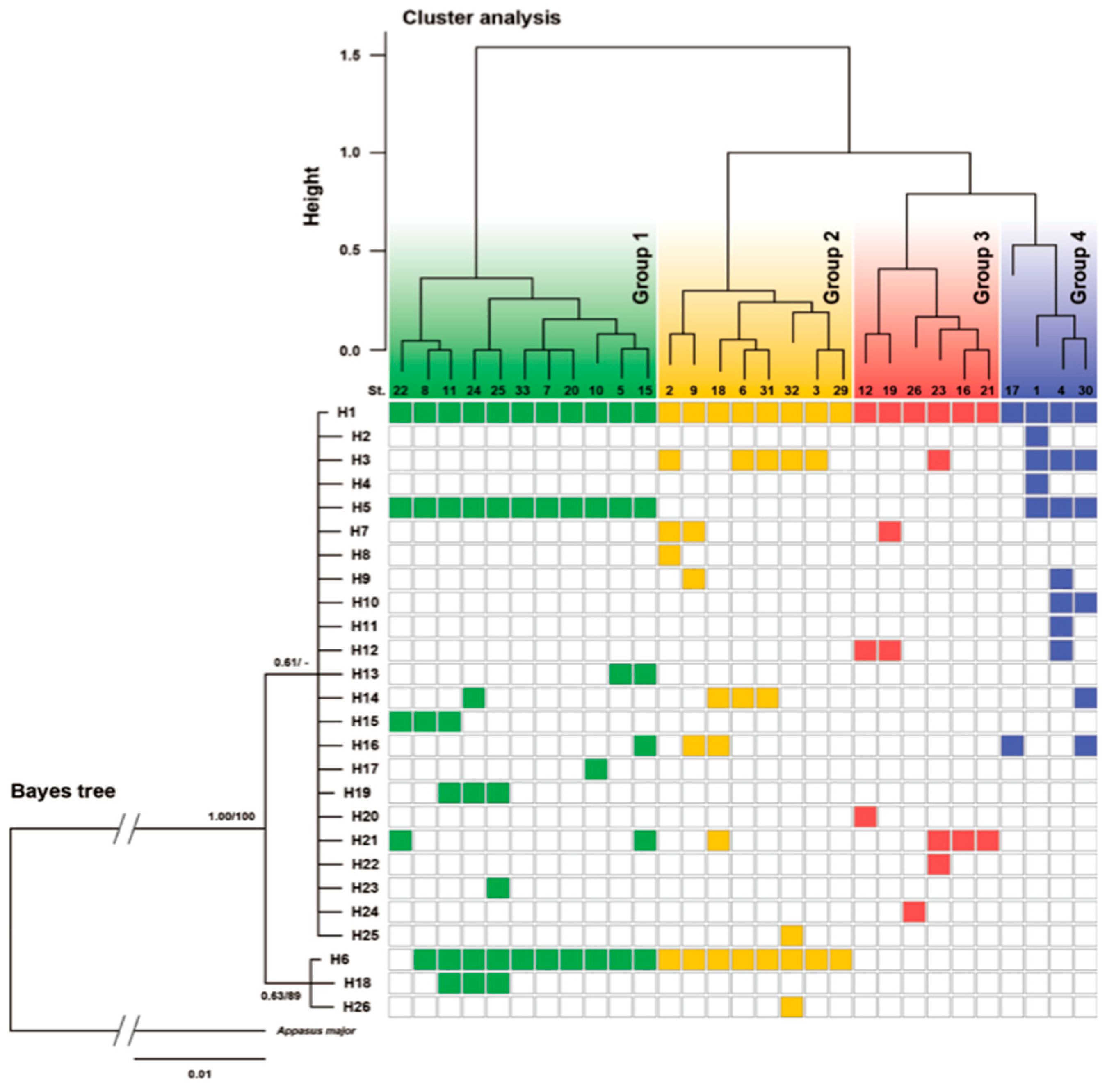 Scale analysis. Метод Уорда в кластерном анализе. Agglomerative Clustering.