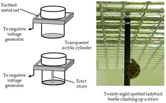 Insects Free Full Text High Voltage Electric Fields Have Potential To Create New Physical Pest Control Systems Html