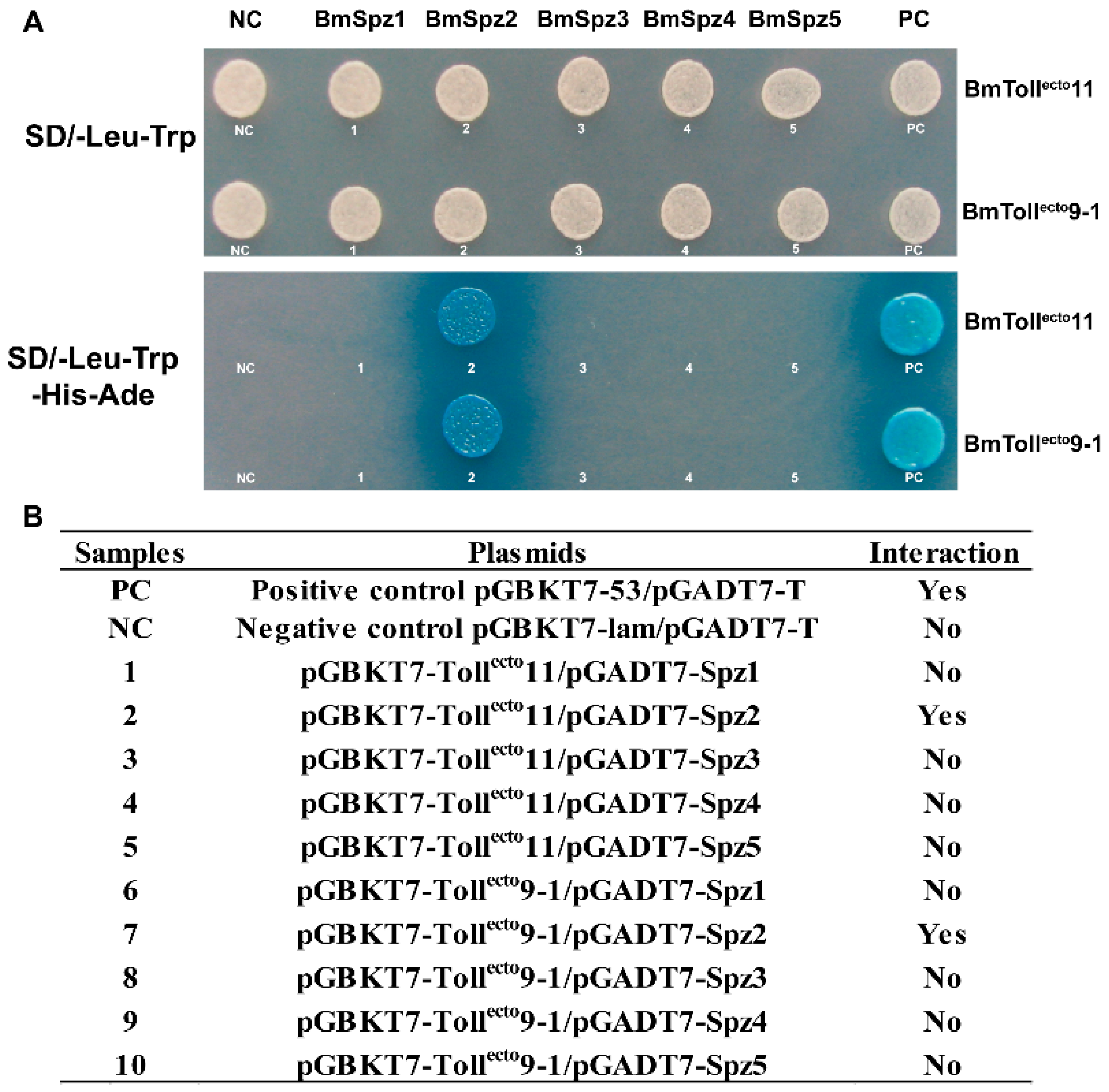 Insects 11 00586 g004